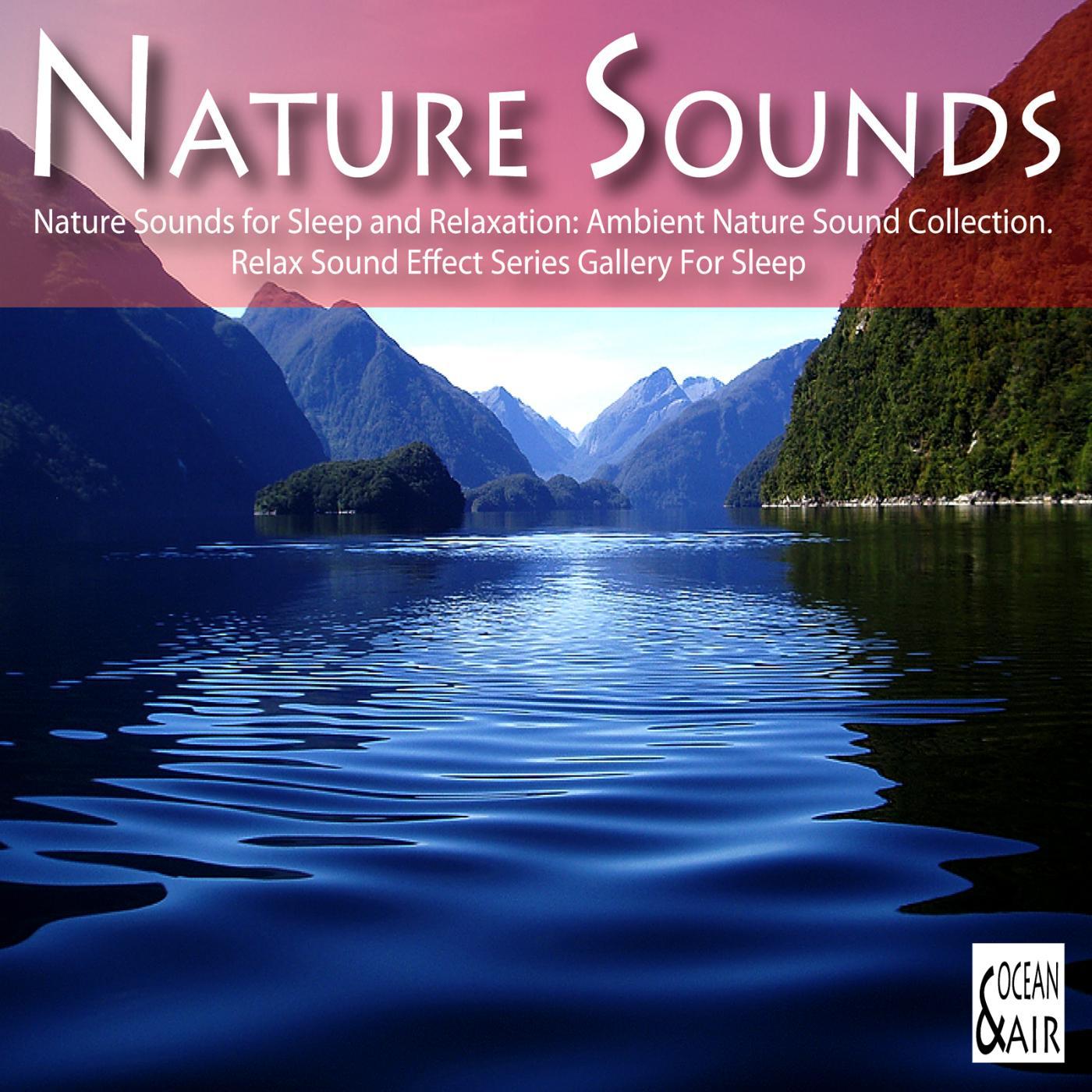 Постер альбома Nature Sounds for Sleep and Relaxation: Ambient Nature Sound Collection. Relax Sound Effect Series Gallery for Sleep