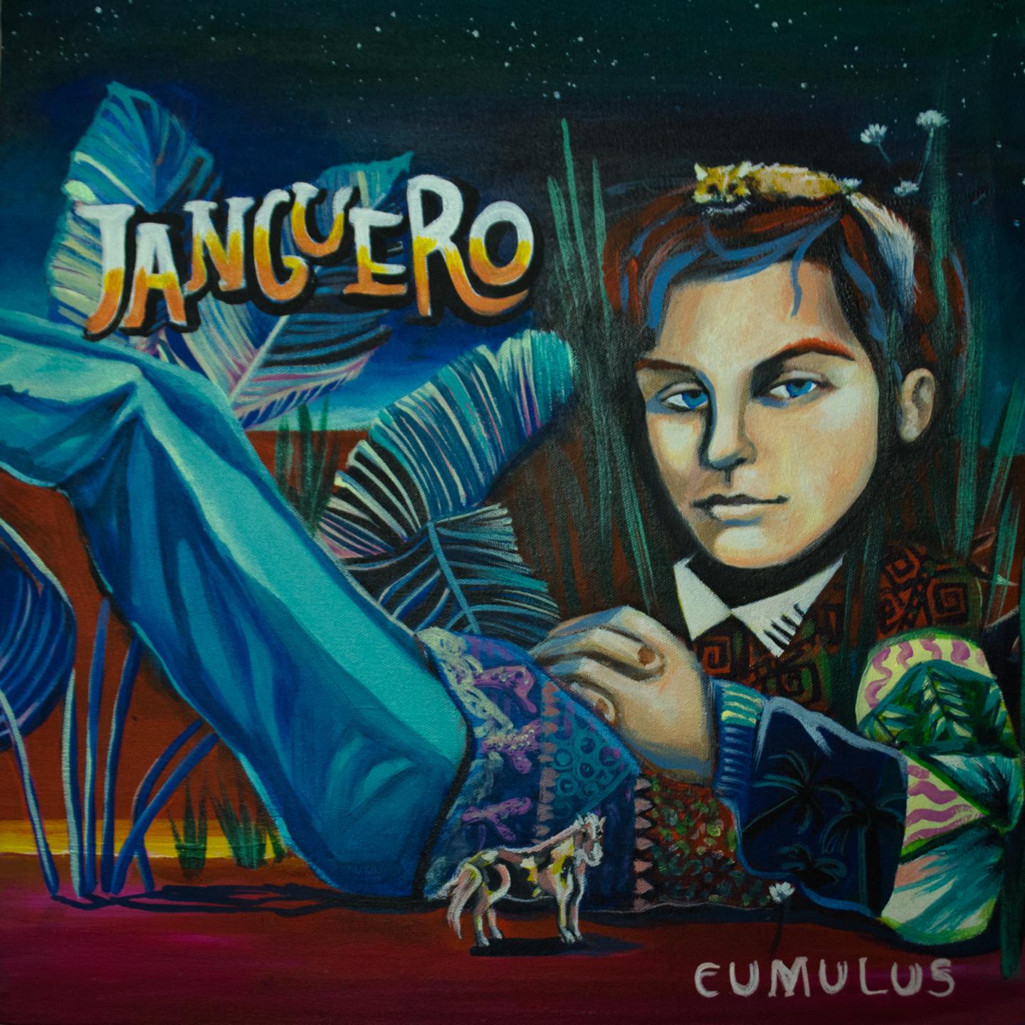 Постер альбома Janguero