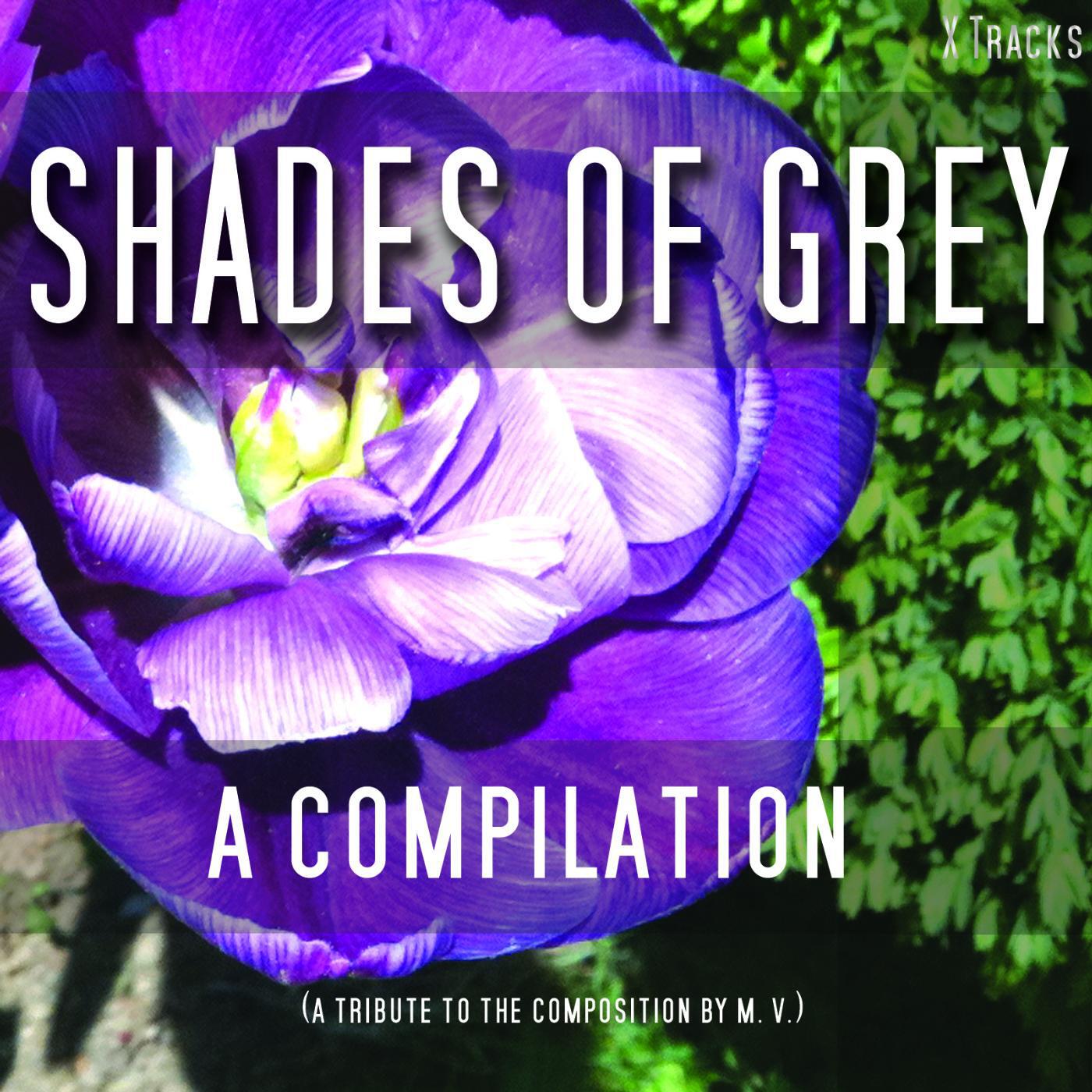 Shades of Grey - A Fifty Track Compilation - Avant Dernieres Pensees No. 3 [Satie]