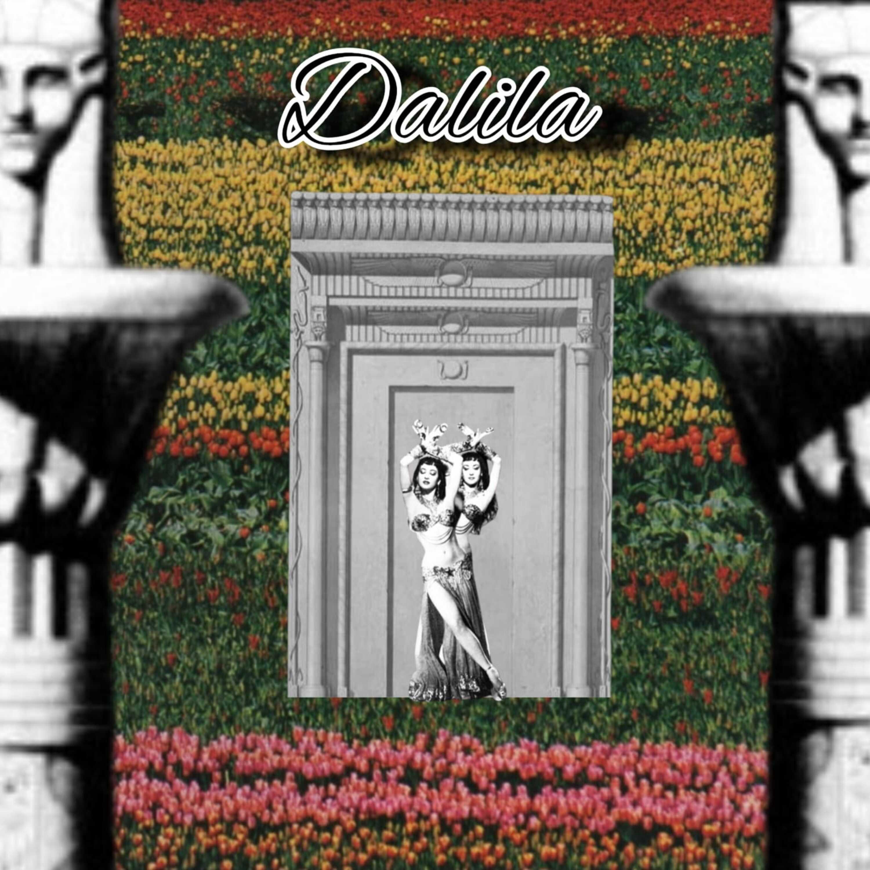 Постер альбома Dalila