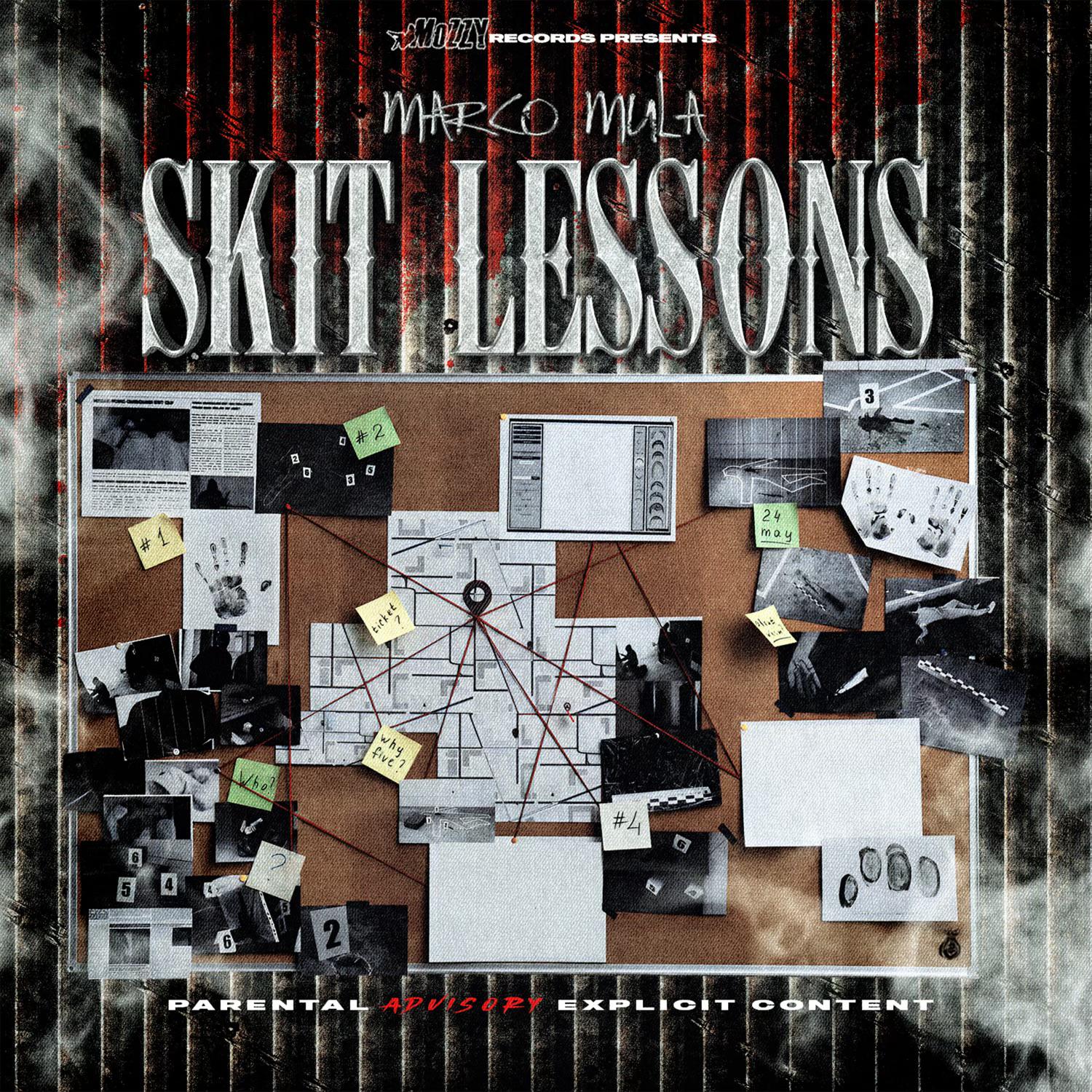 Постер альбома Skit Lessons