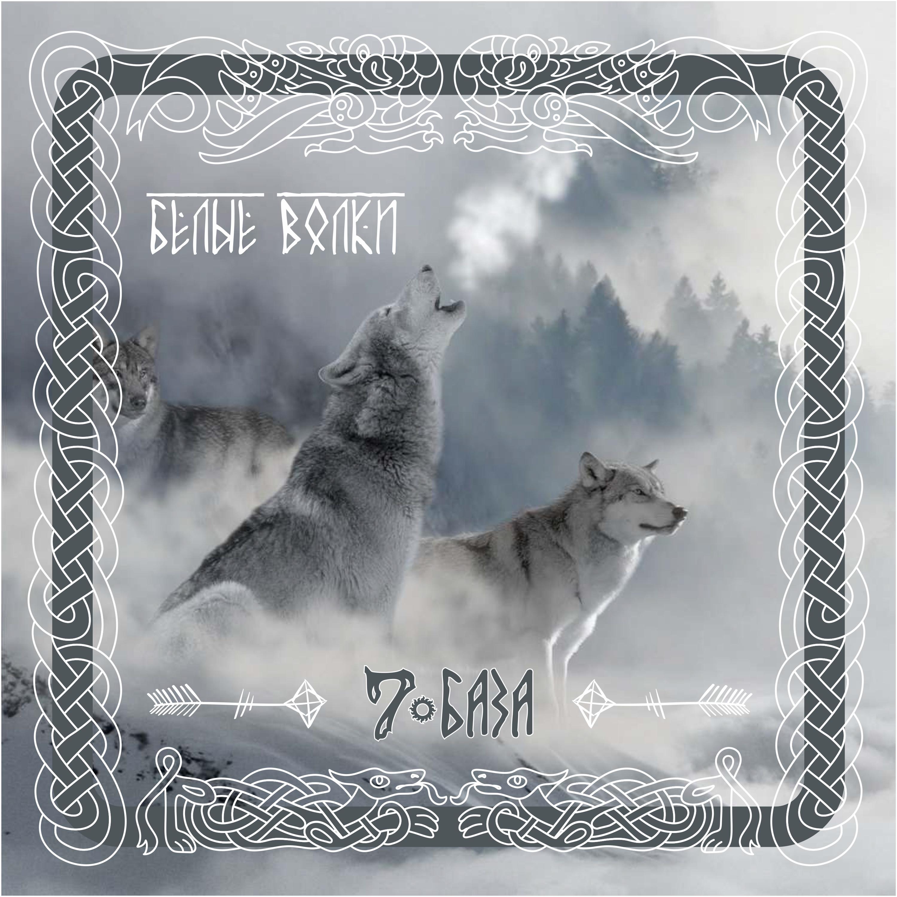 Постер альбома Белые волки