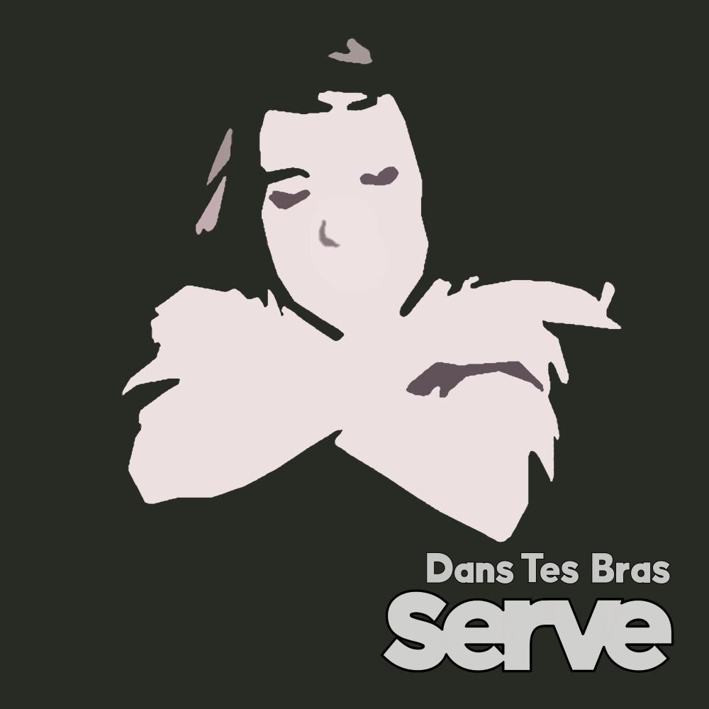 Постер альбома Dans tes bras