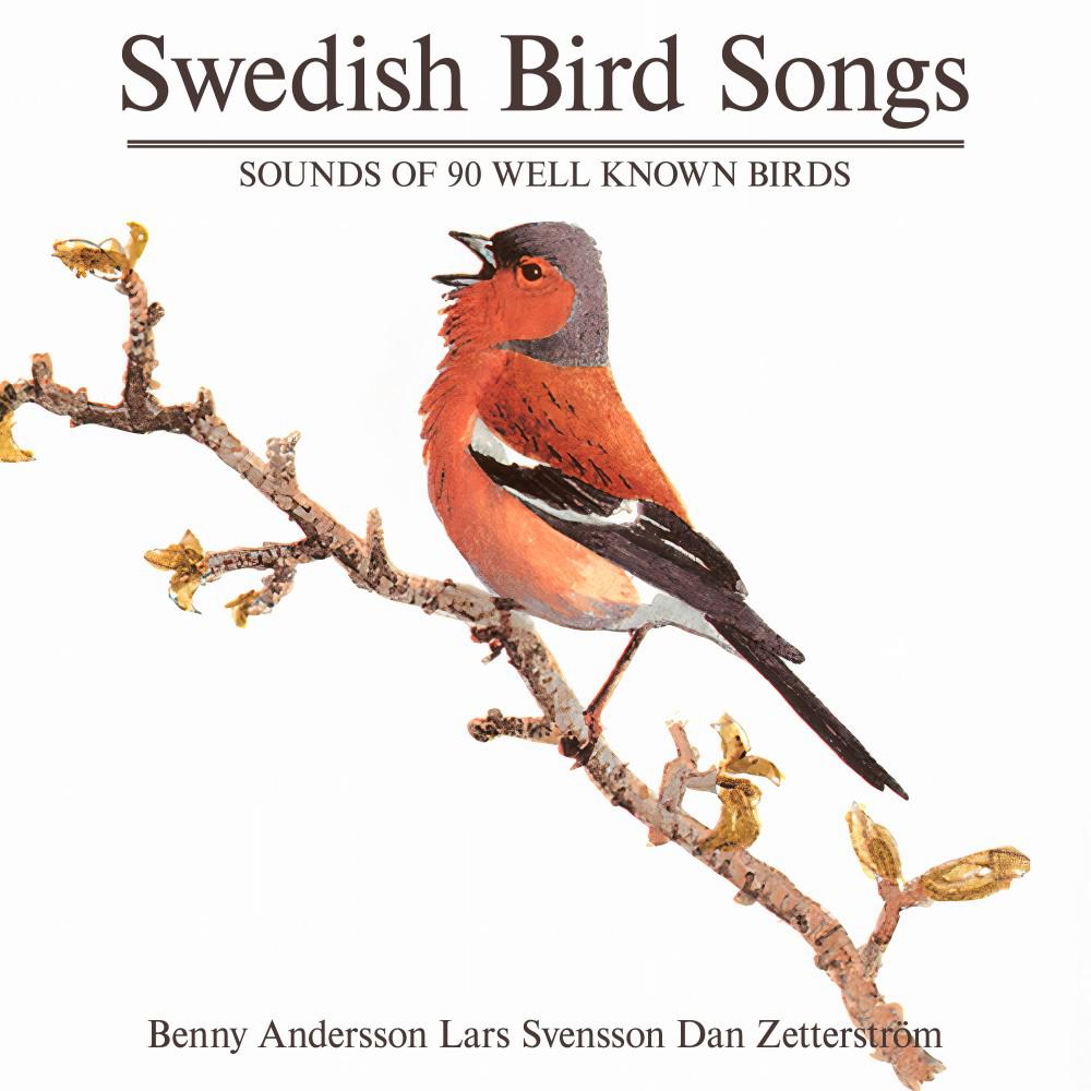 Постер альбома Swedish Birdsong (90 Well Known Birds)