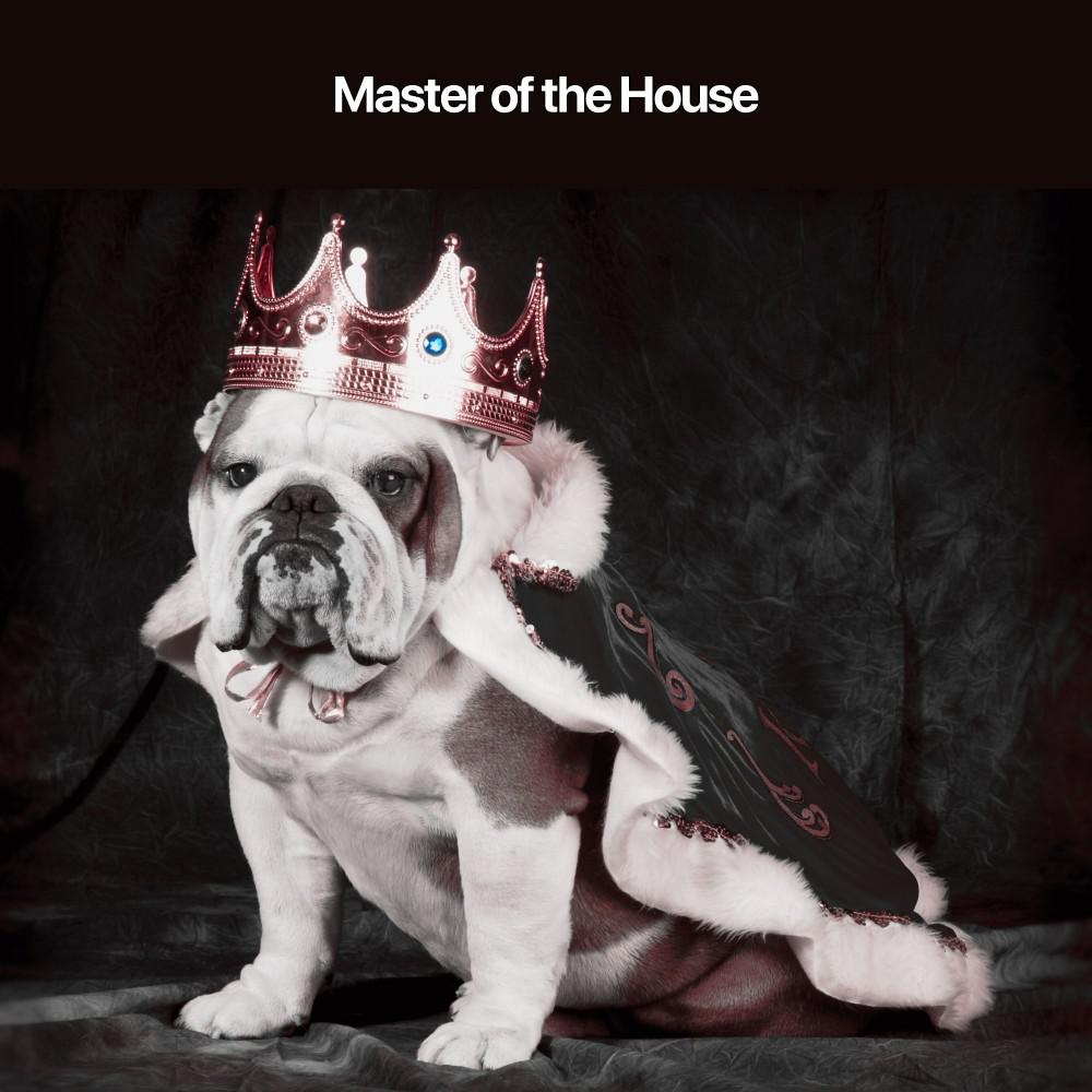 Постер альбома Master of the House