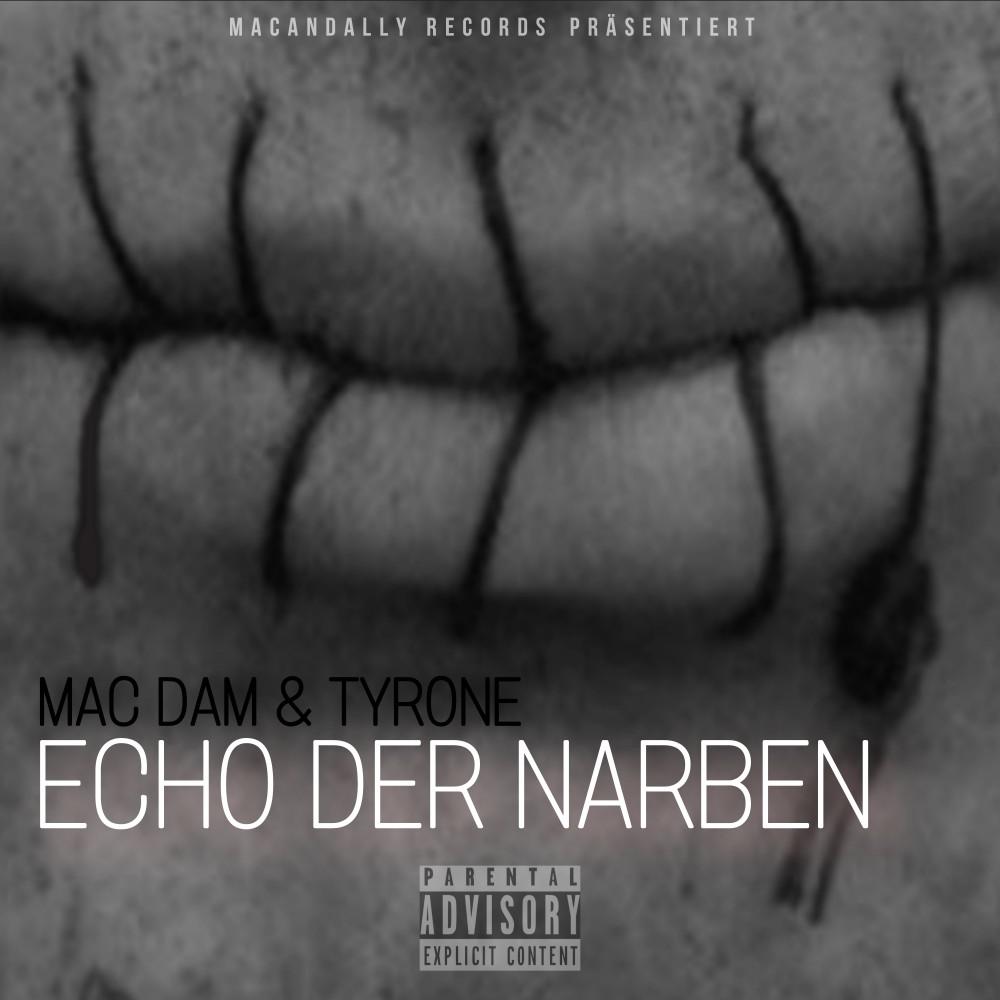 Постер альбома Echo der Narben
