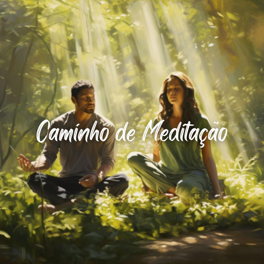Постер альбома Caminho de Meditação