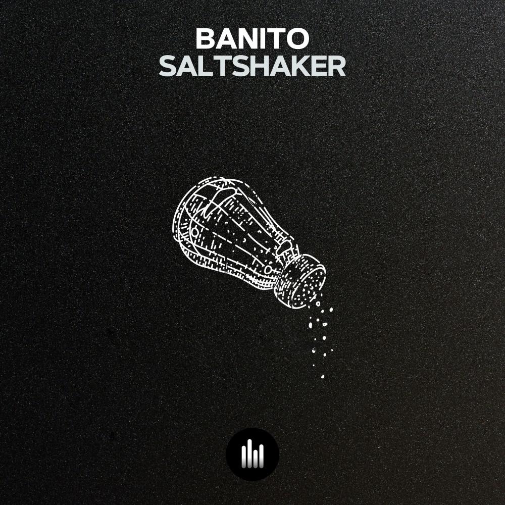 Постер альбома Saltshaker