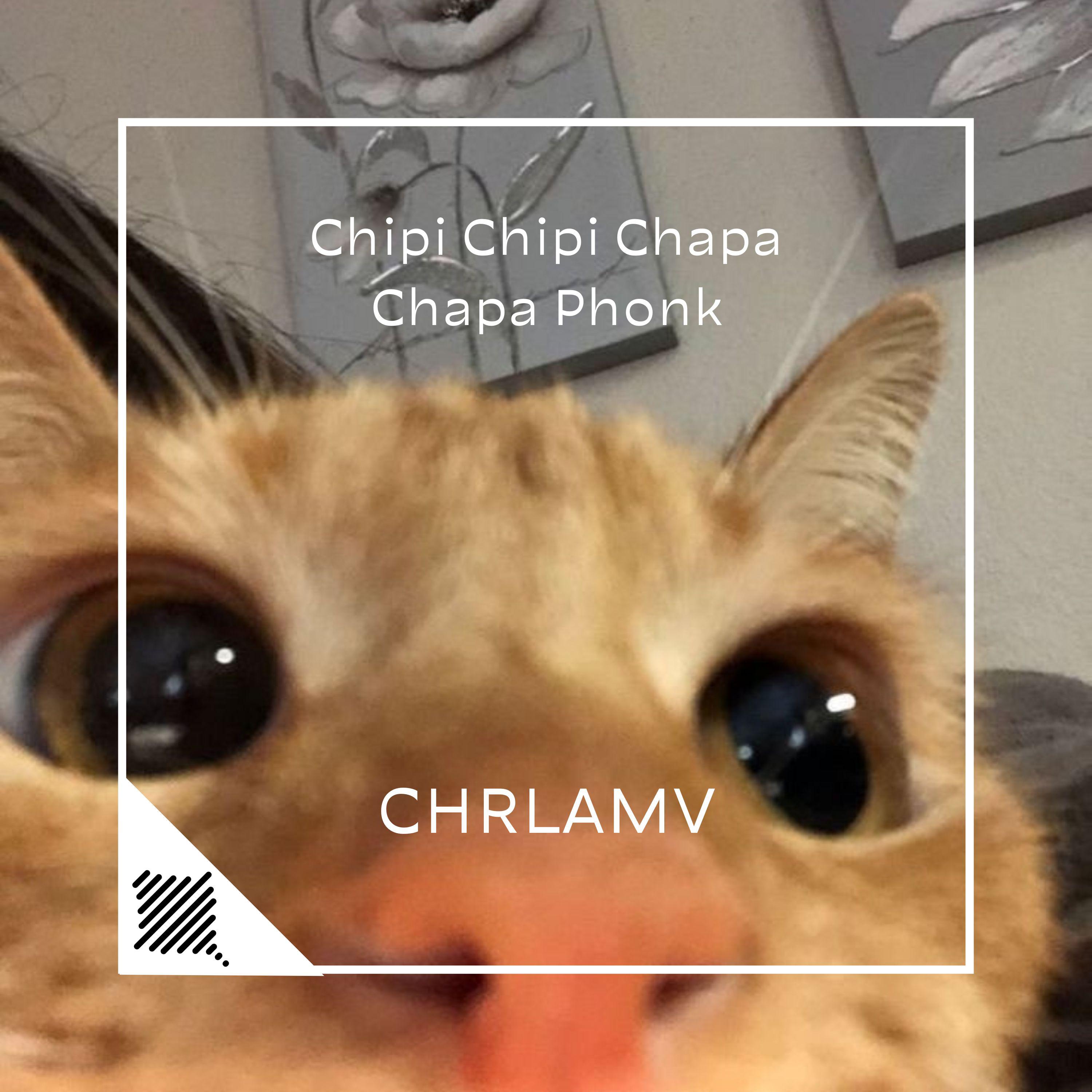Постер альбома Chipi Chipi Chapa Chapa Phonk
