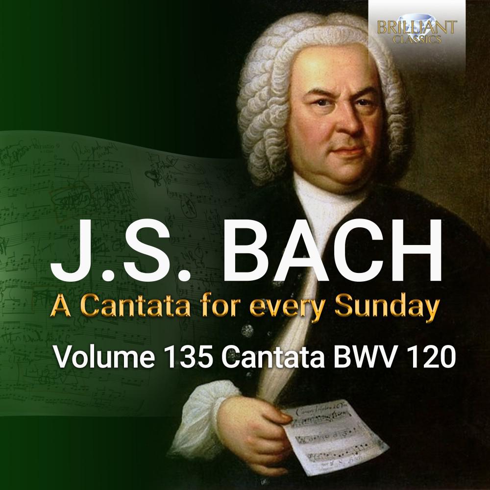 Постер альбома J.S. Bach: Gott, Man lobet dich in der Stille, BWV 120