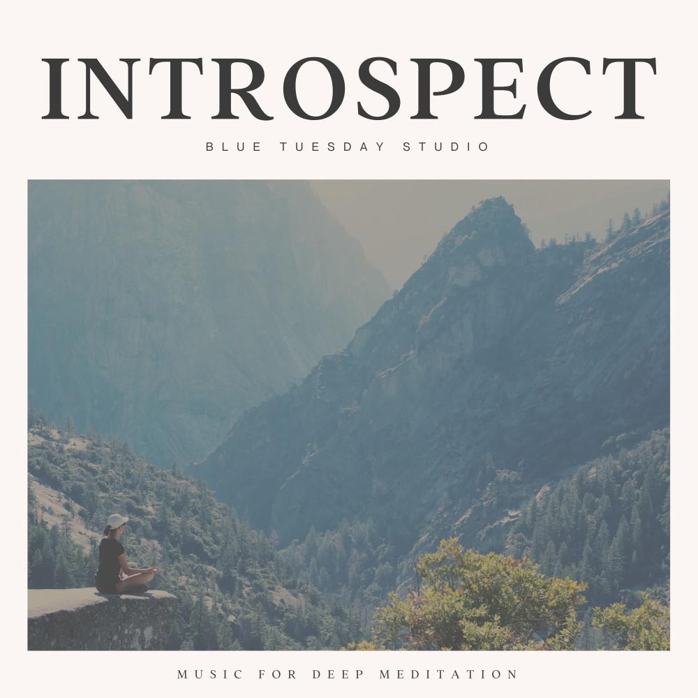 Постер альбома Introspect