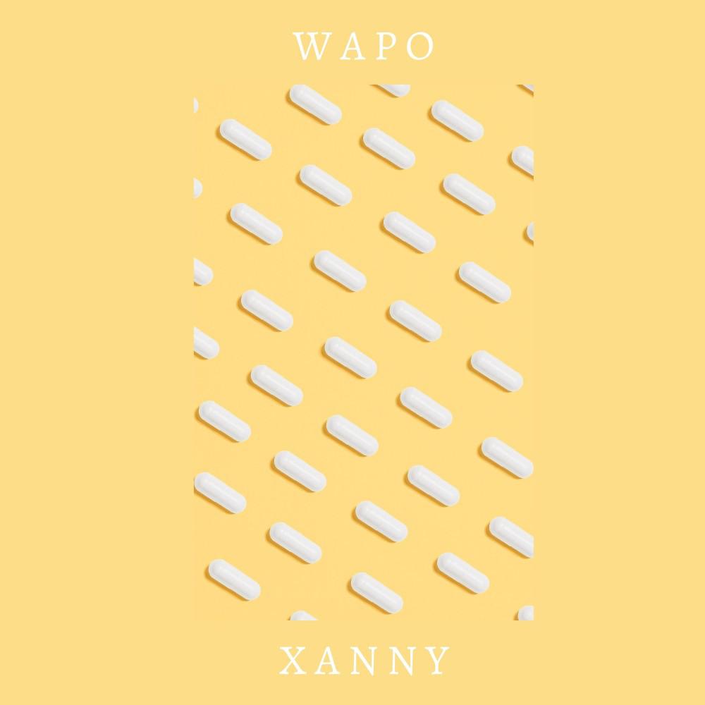 Постер альбома Xanny