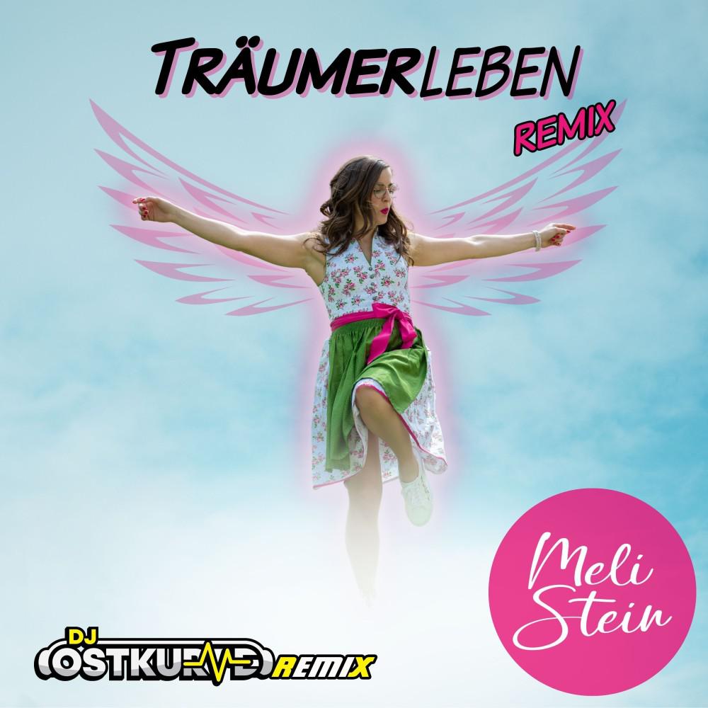 Постер альбома Träumerleben