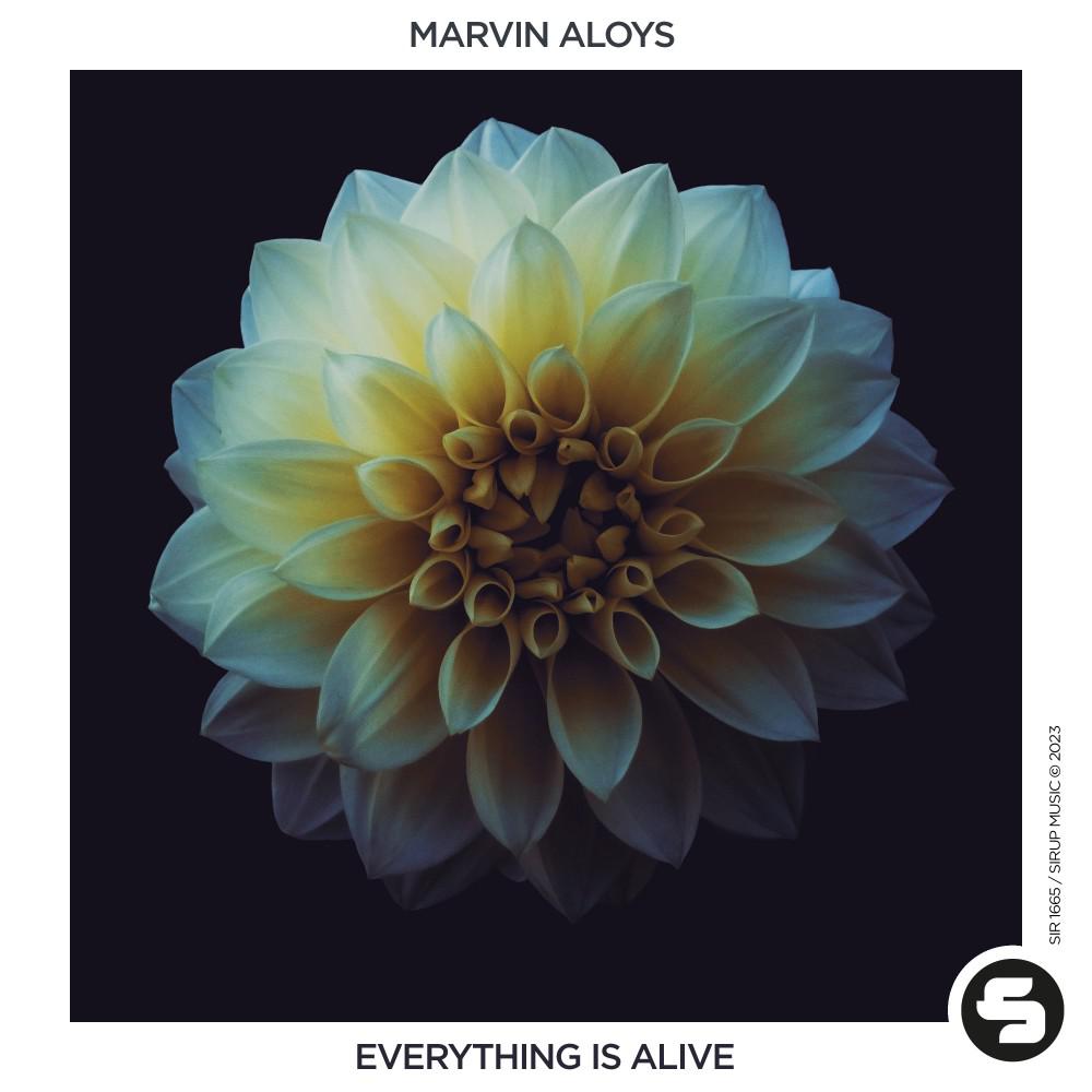 Постер альбома Everything Is Alive