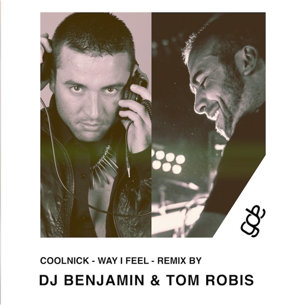 Постер альбома Way I Feel (Remix by DJ Benjamin & Tom Robis)