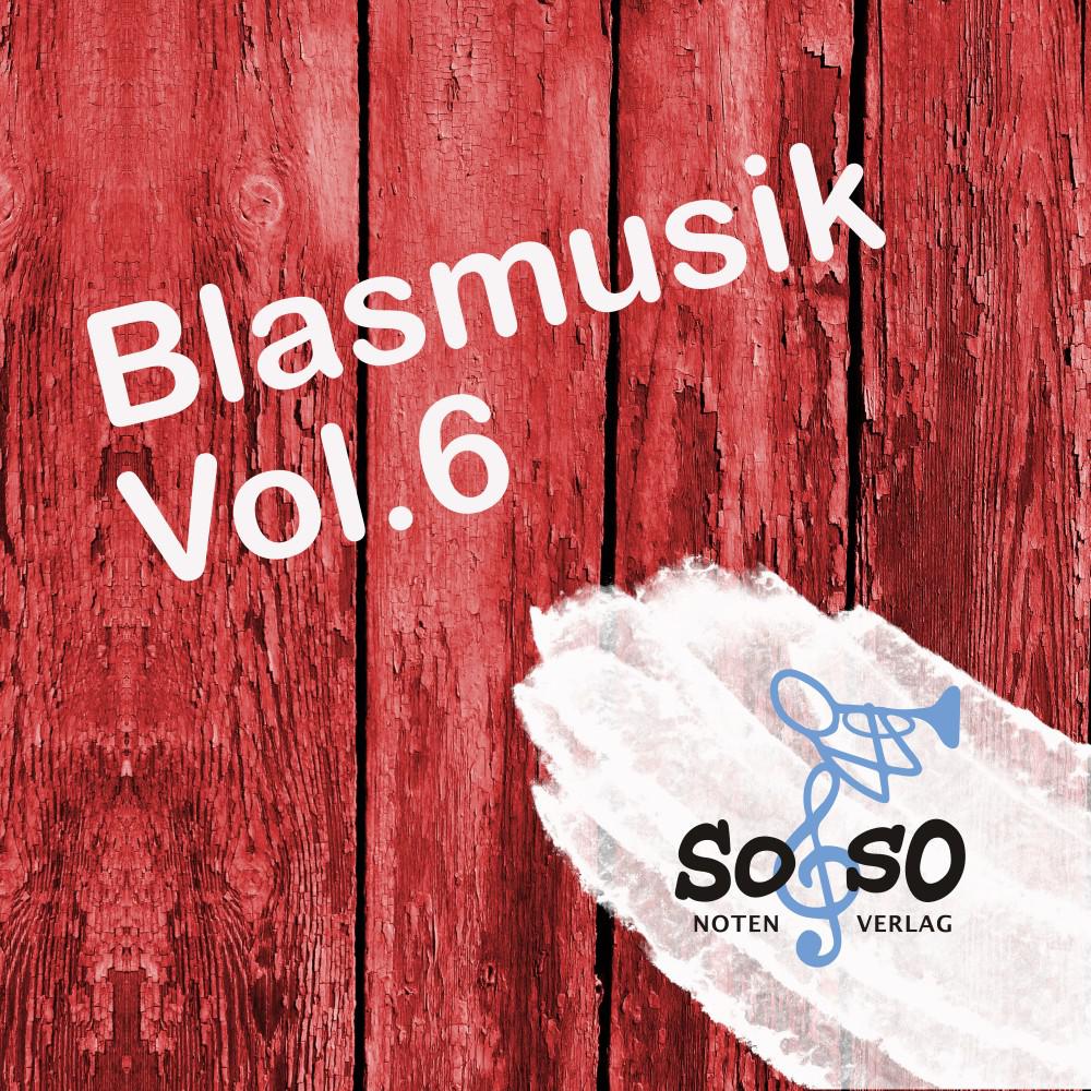 Постер альбома Blasmusik, Vol. 6