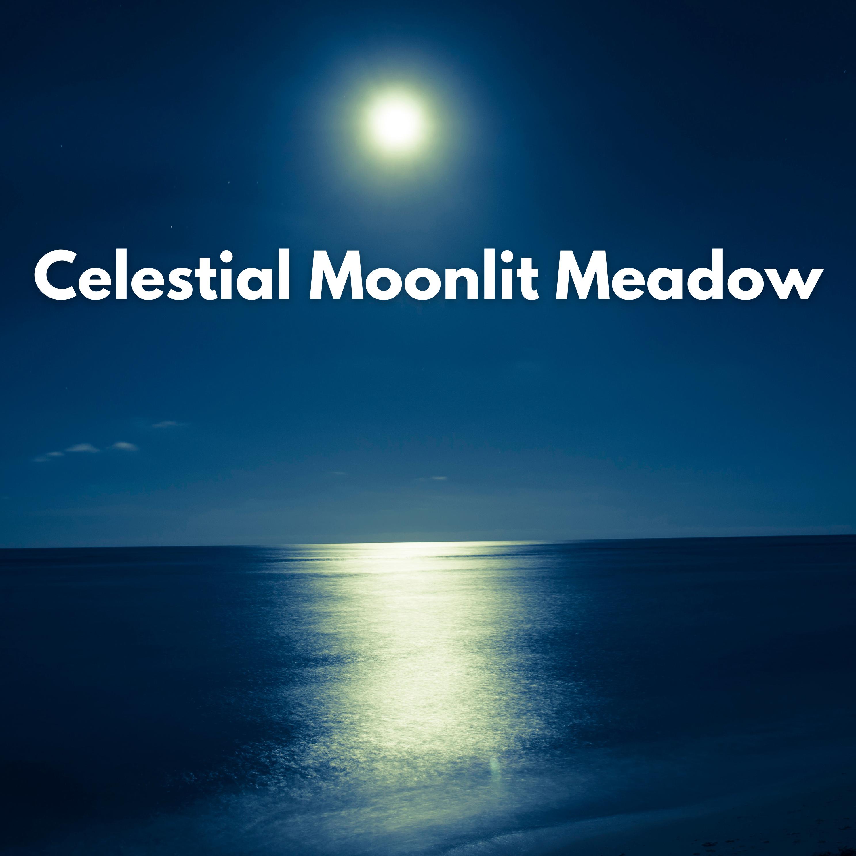 Постер альбома Celestial Moonlit Meadow