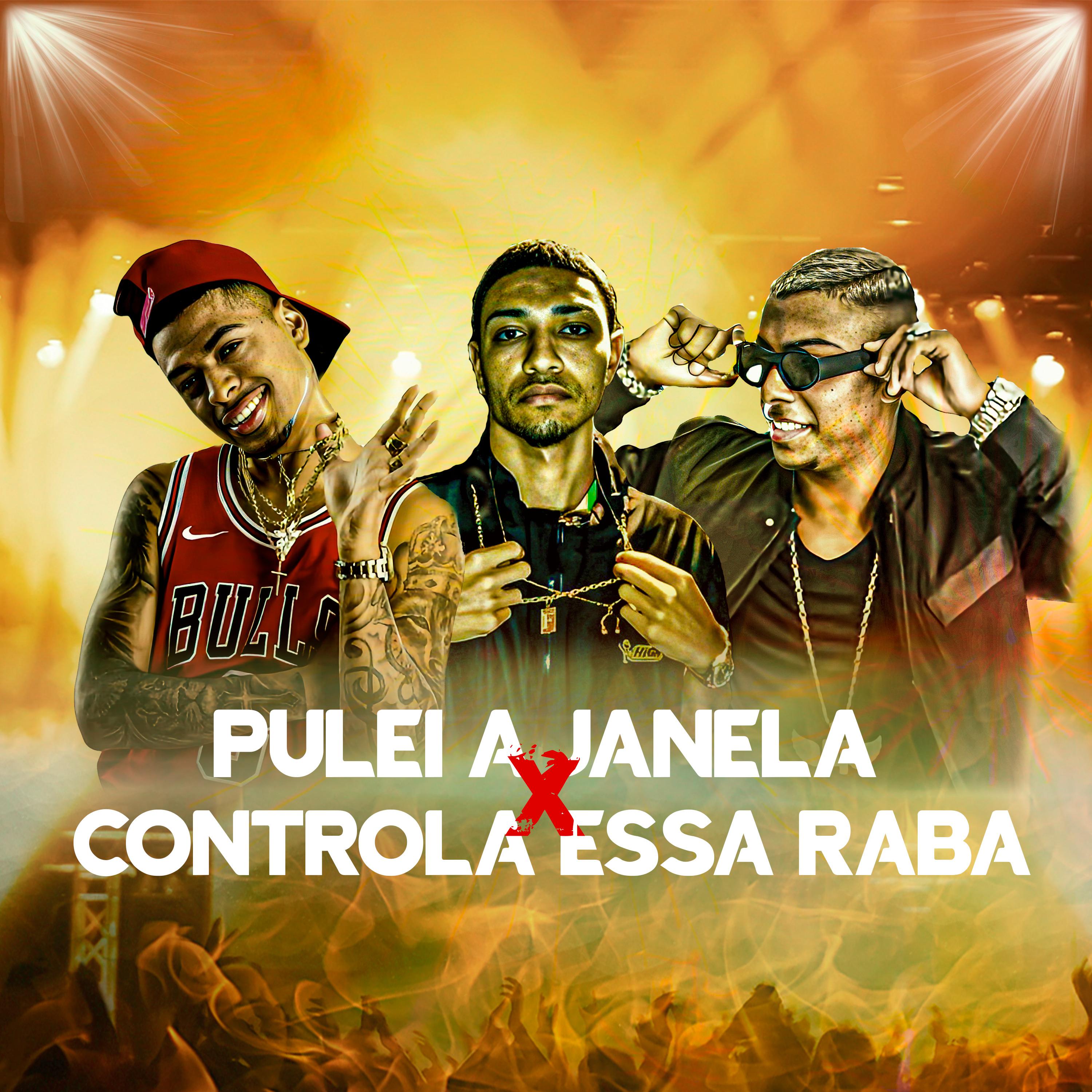 Постер альбома Pulei a Janela Vs Controla Essa Raba