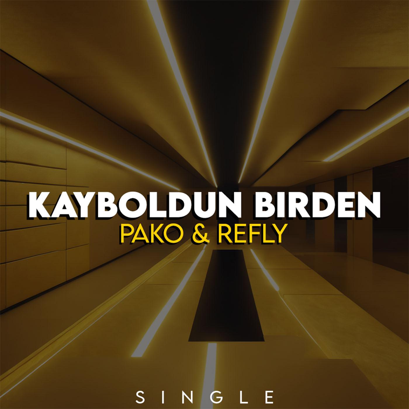 Постер альбома Kayboldun Birden