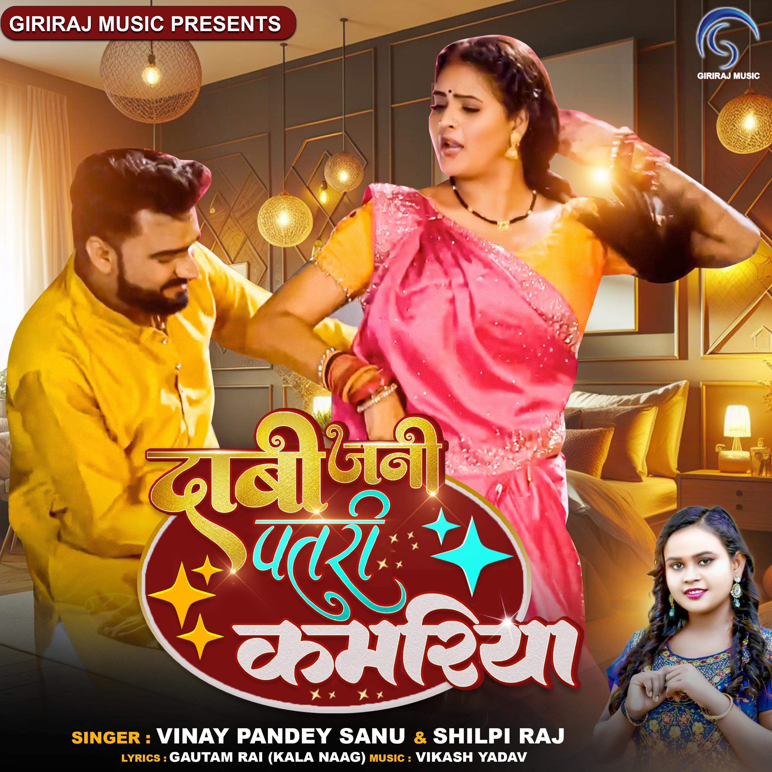 Постер альбома Dabi Jani Patari Kamariya