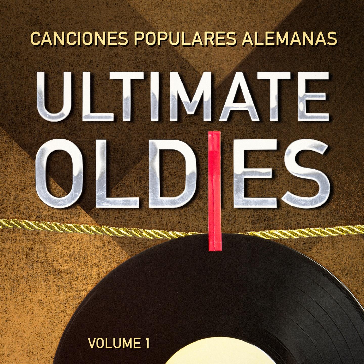 Постер альбома Recordando Temas: Canciones Populares Alemanas, Vol. 1