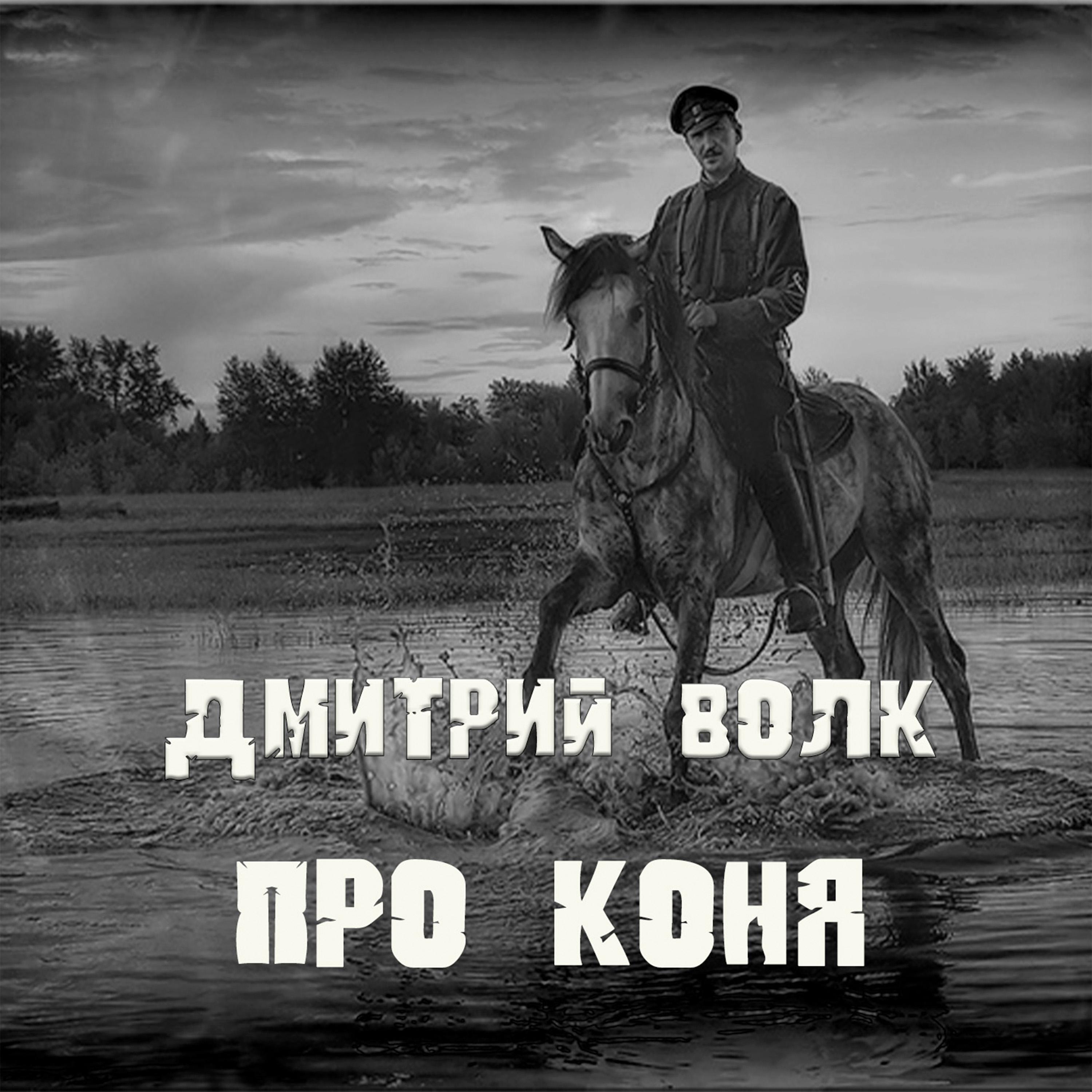 Постер альбома Про коня