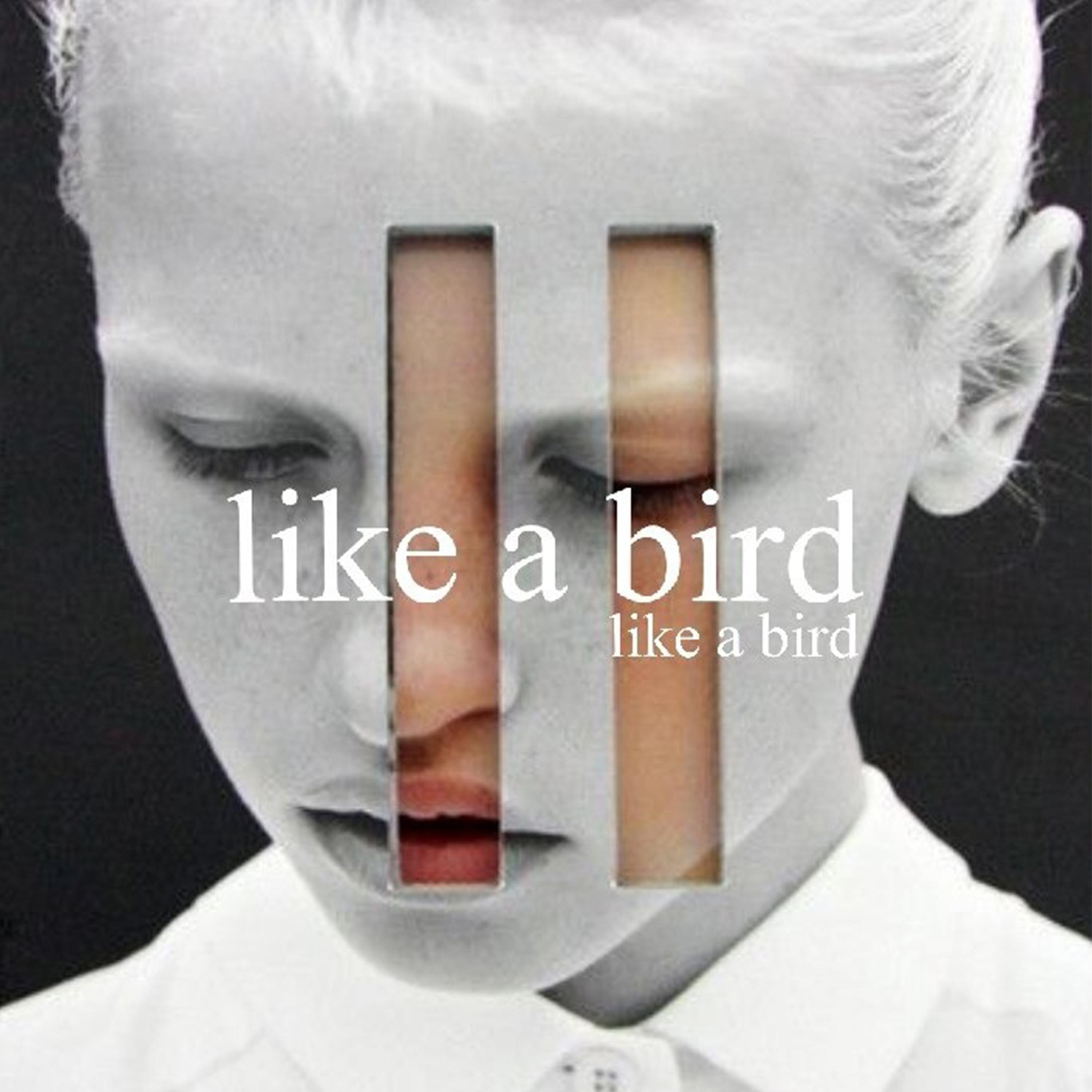 Постер альбома Like a Bird