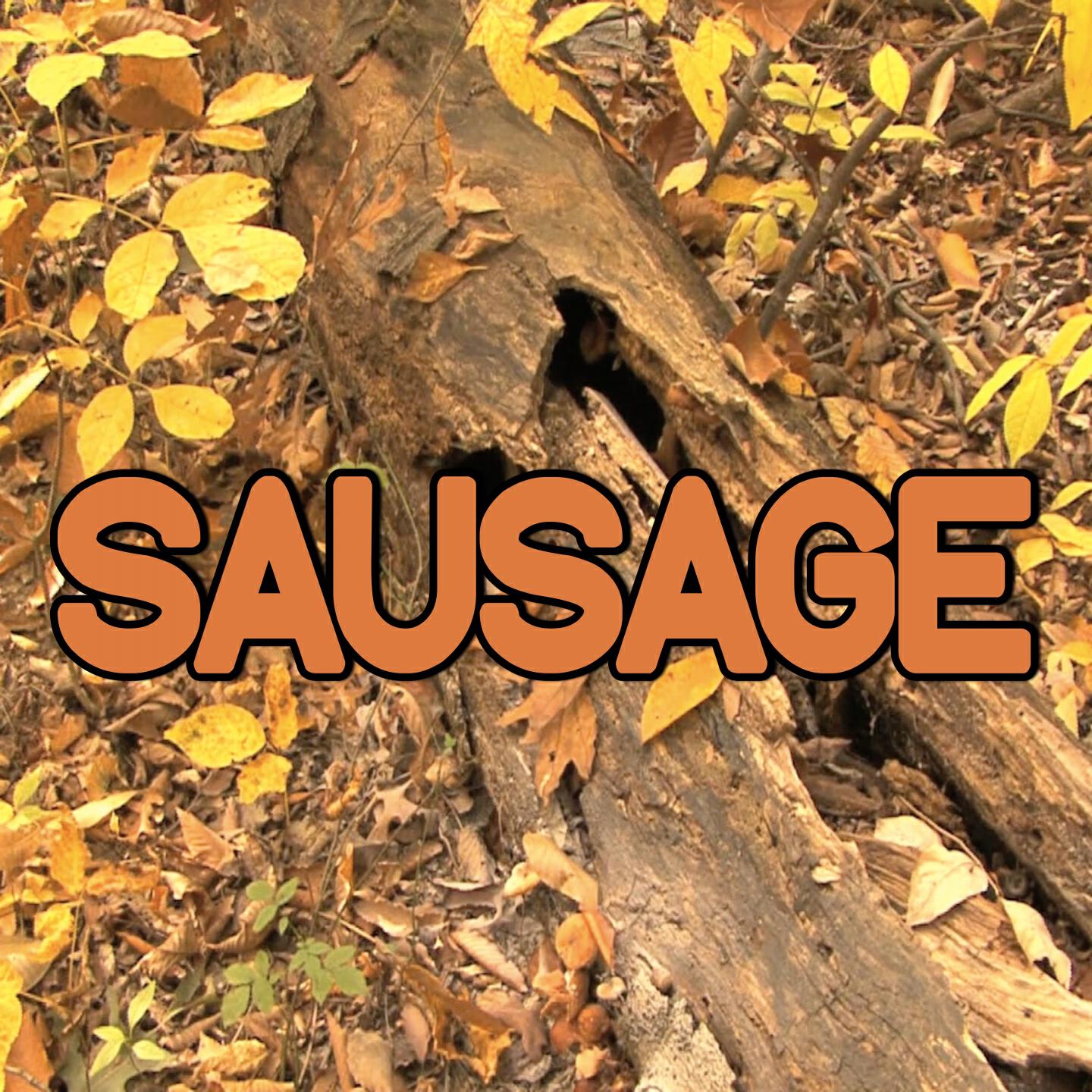 Swift Hits - Sausage - Tribute to Lil Mama