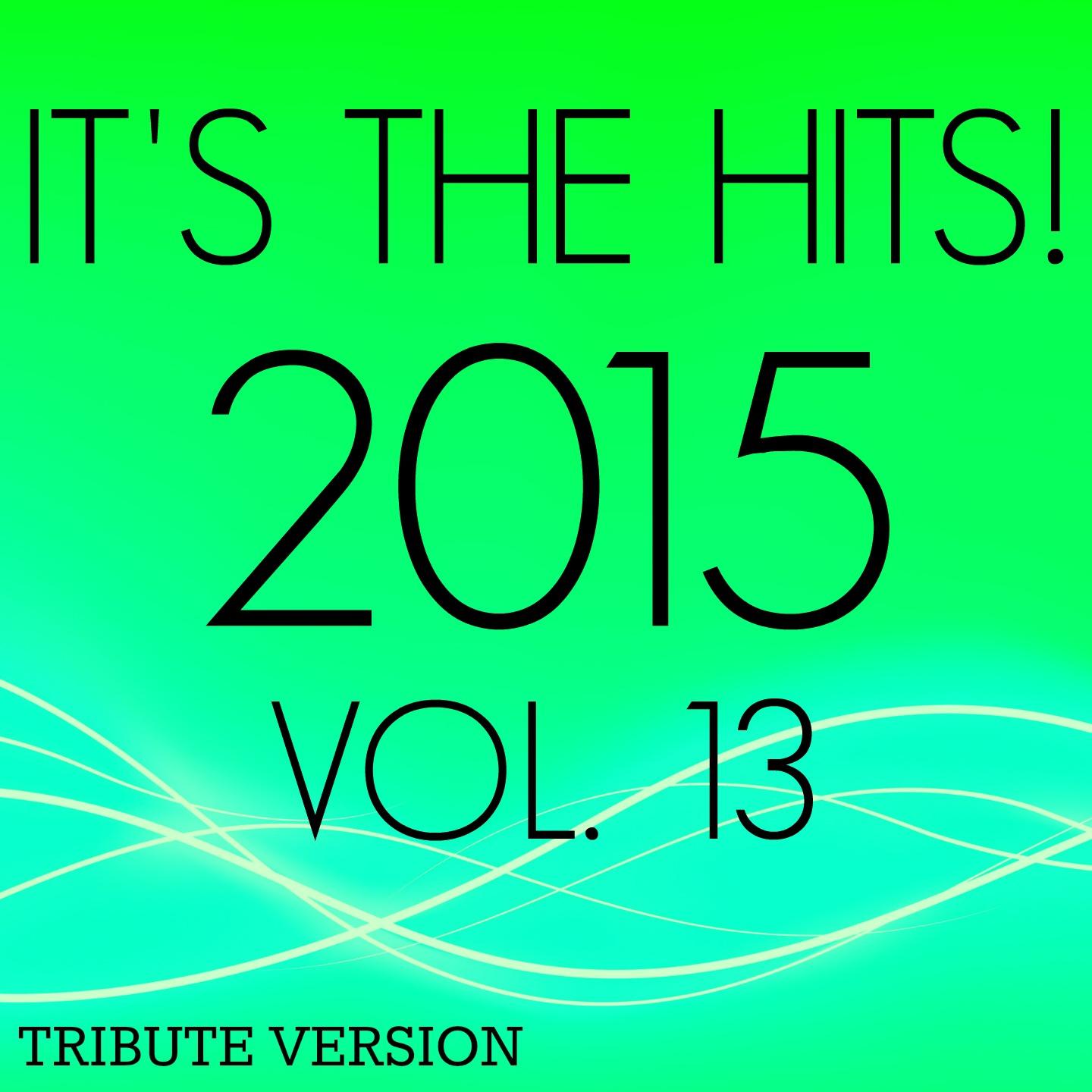 Постер альбома It's the Hits! 2015, Vol.13