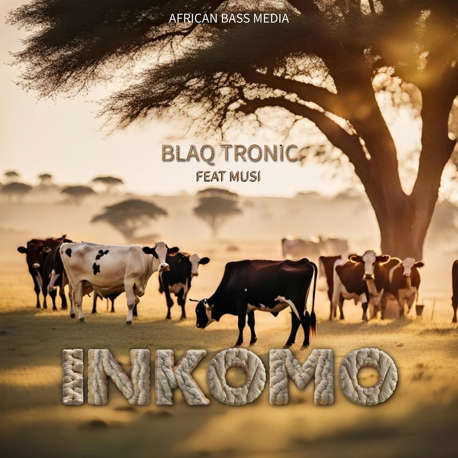 Постер альбома Inkomo