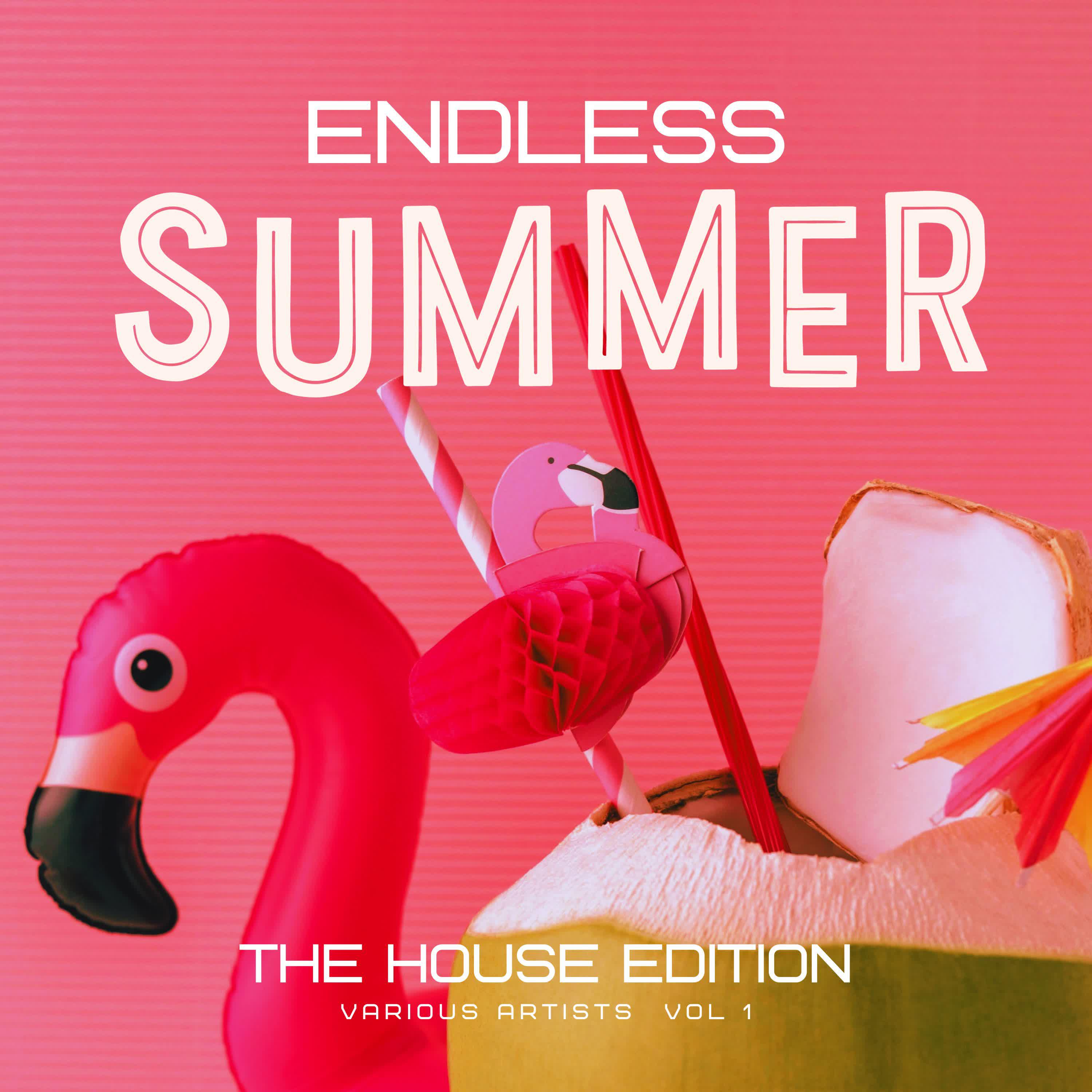 Постер альбома Endless Summer, Vol. 1
