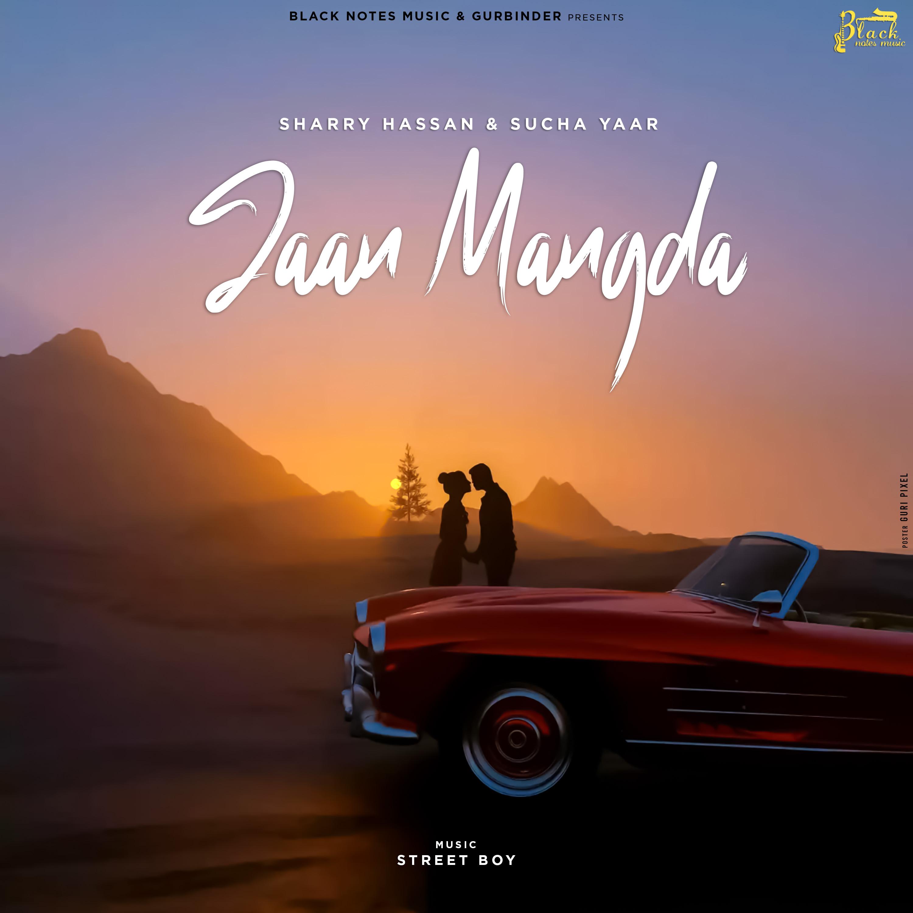 Постер альбома Jaan Mangda