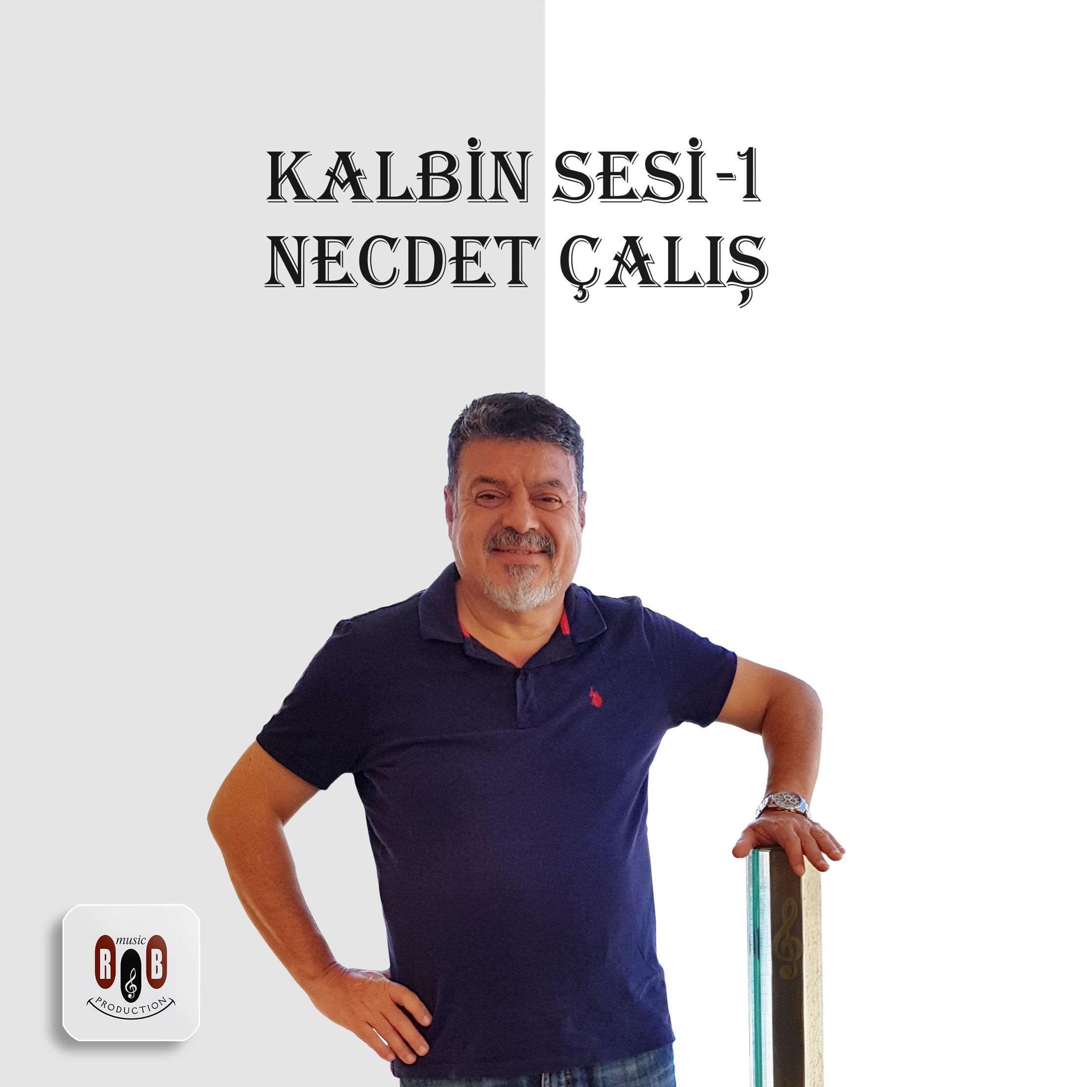 Постер альбома Kalbin Sesi 1