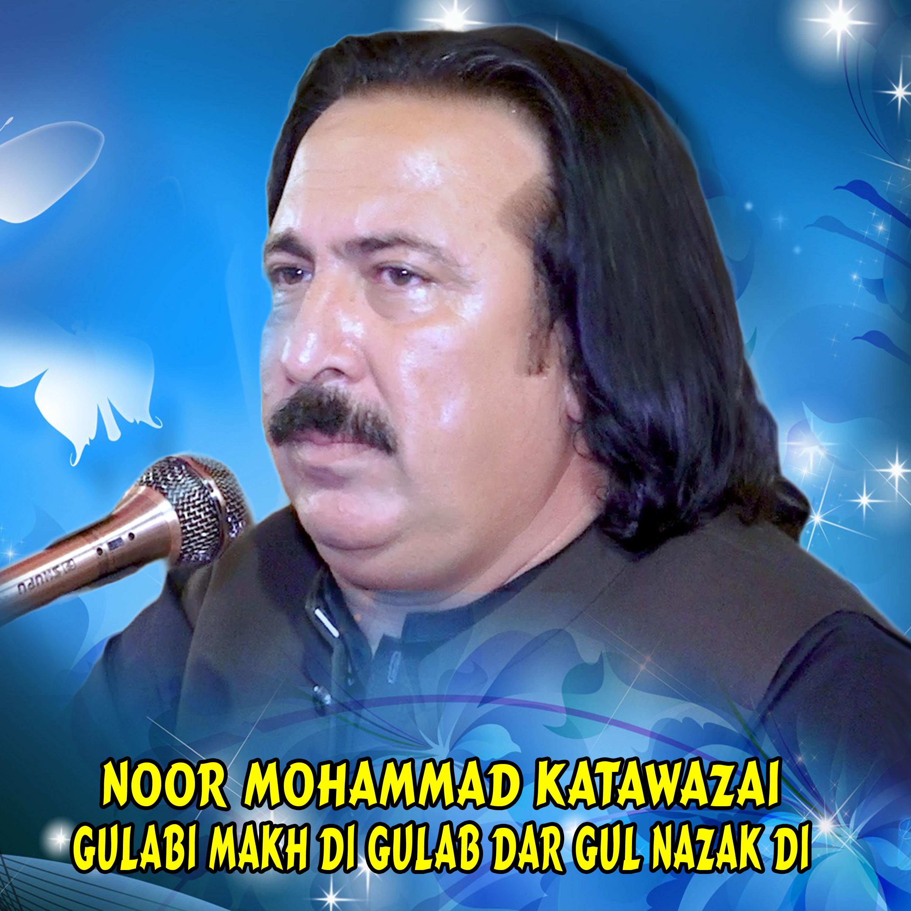 Постер альбома Gulabi Makh Di Gulab Dar Gul Nazak Di