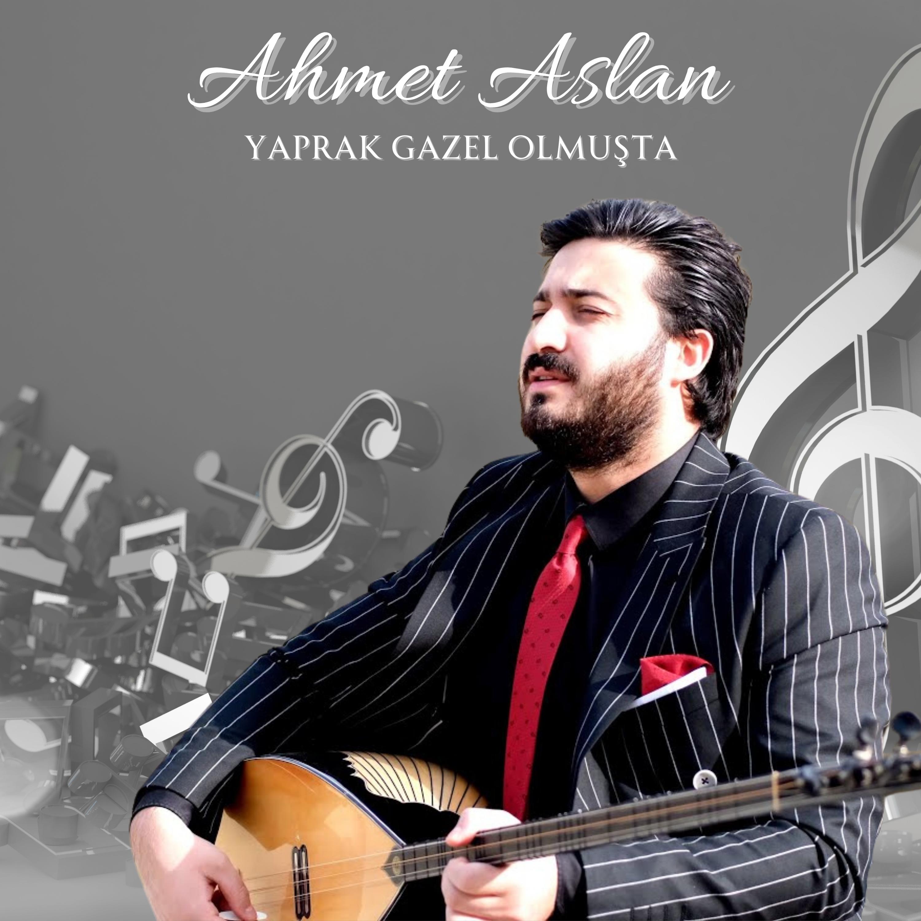 Постер альбома Yaprak Gazel Olmuşta