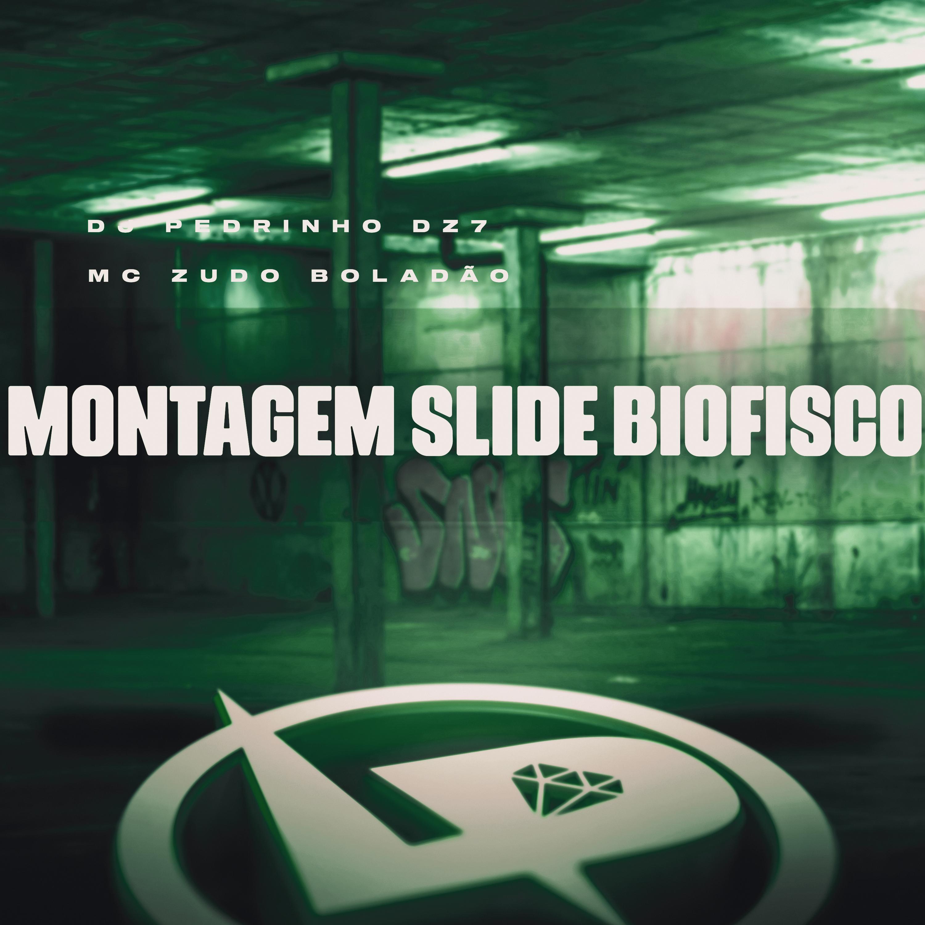 Постер альбома Montagem Slide Biofisco