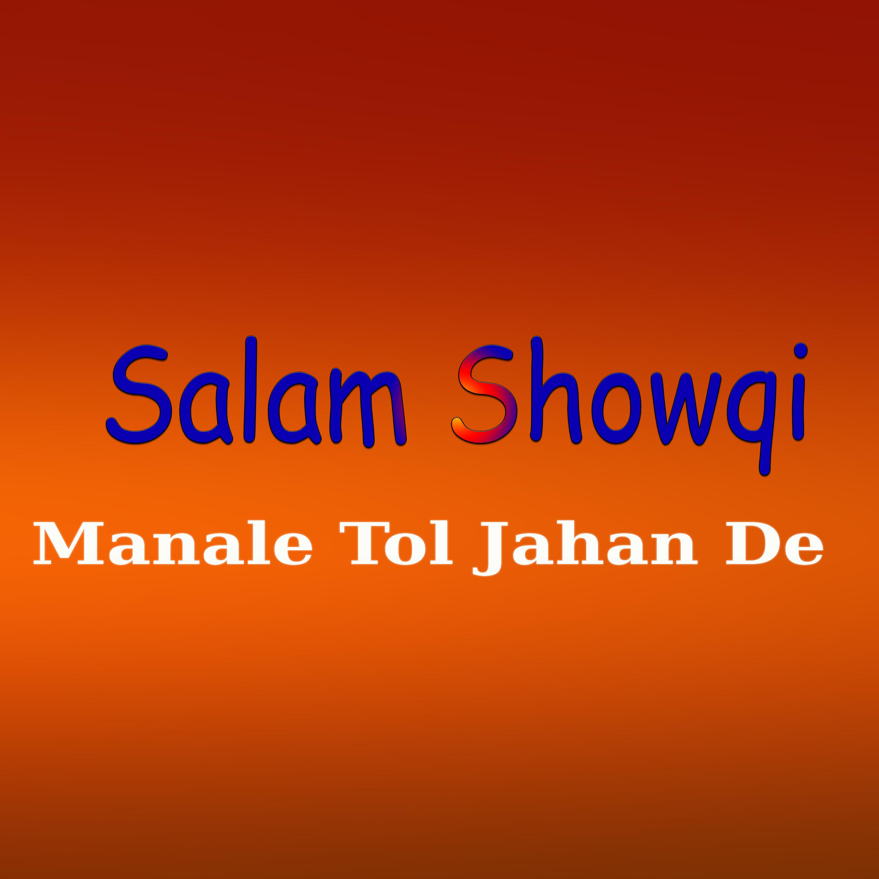 Постер альбома Manale Tol Jahan De