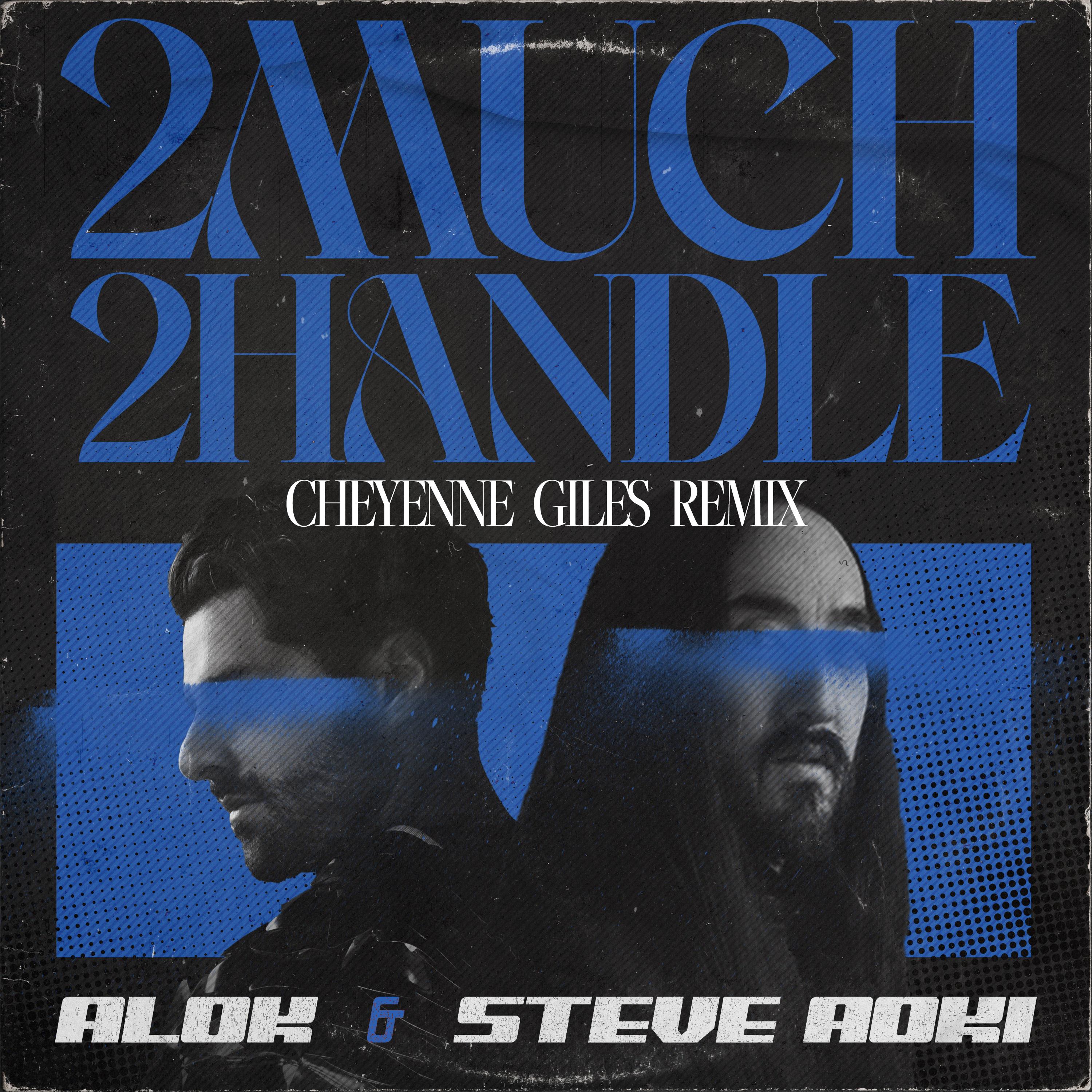 Постер альбома 2 Much 2 Handle (Cheyenne Giles Remix)