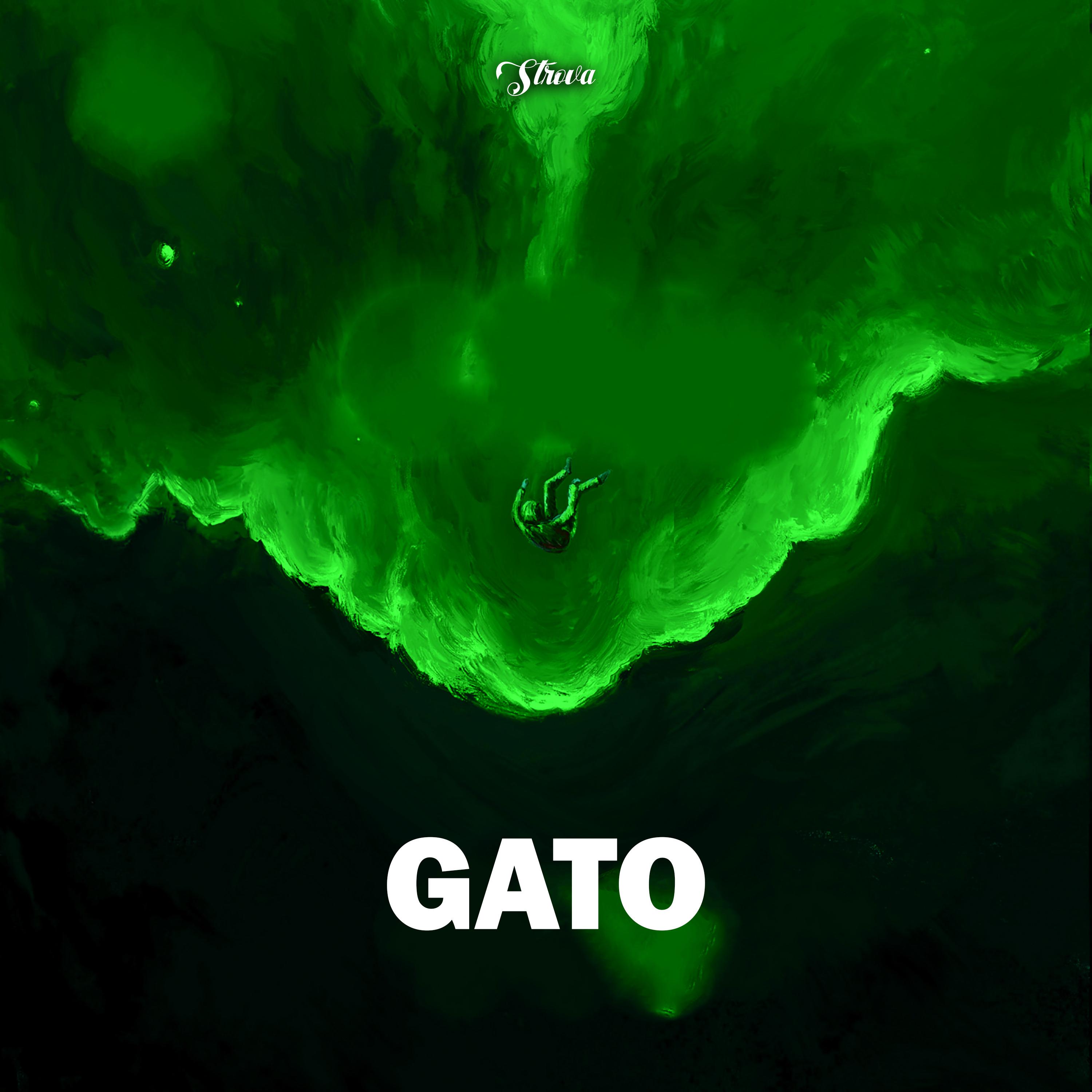 Постер альбома Gato