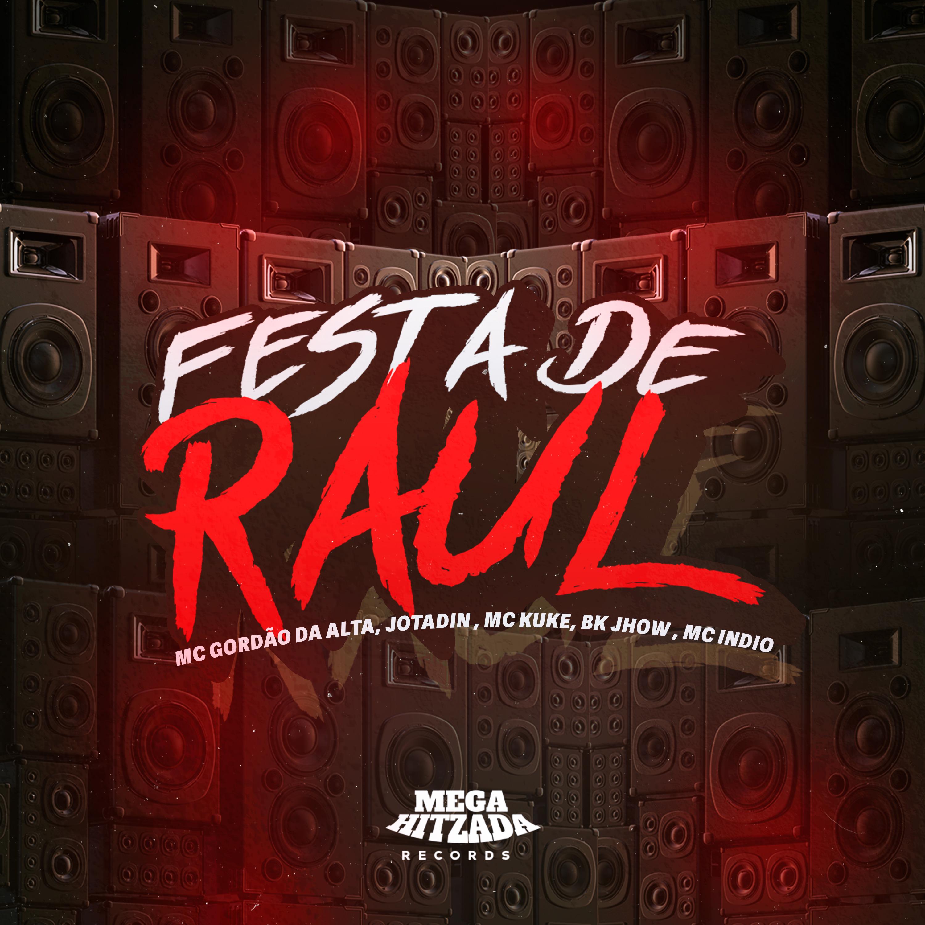 Постер альбома Festa de Raul