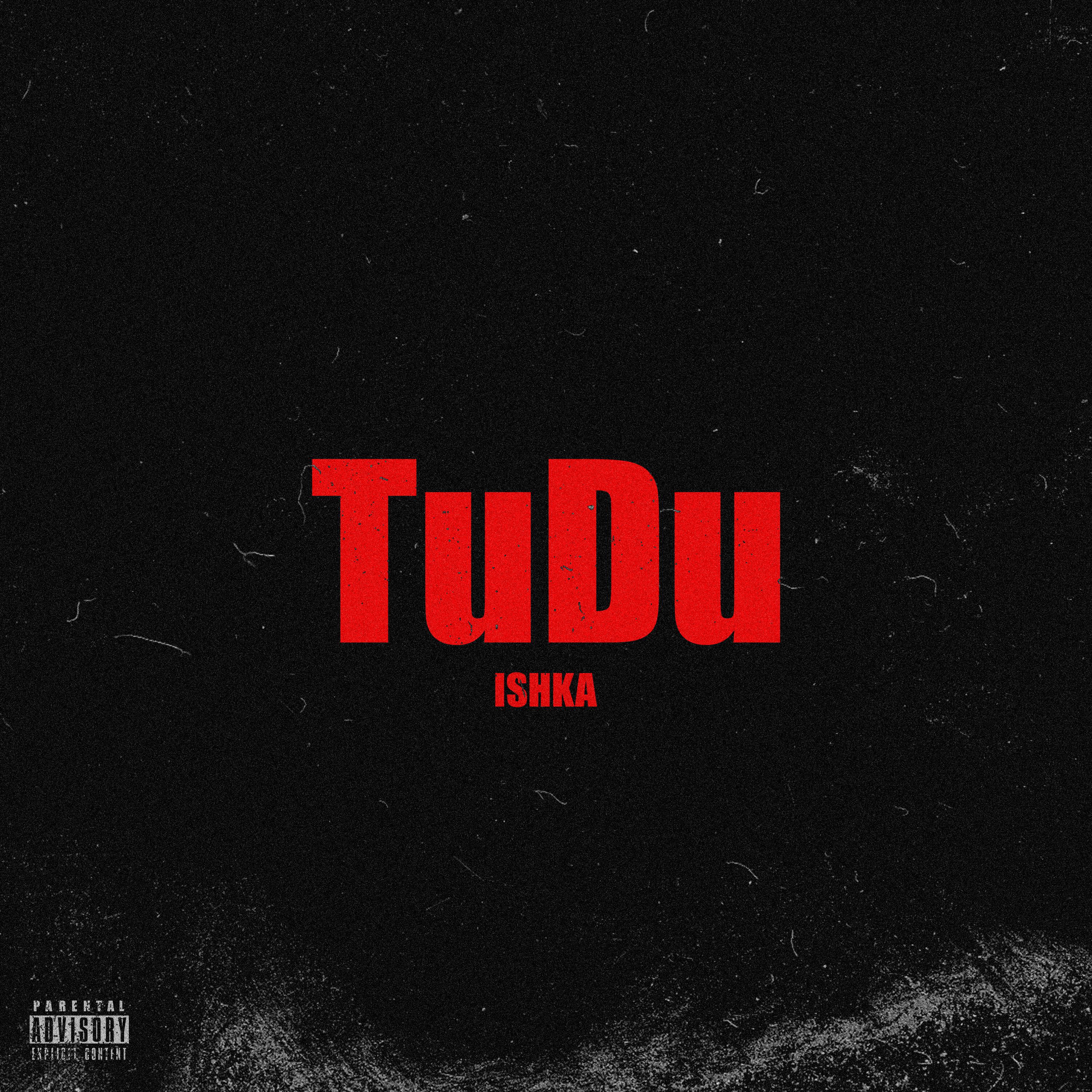 Постер альбома Tudu