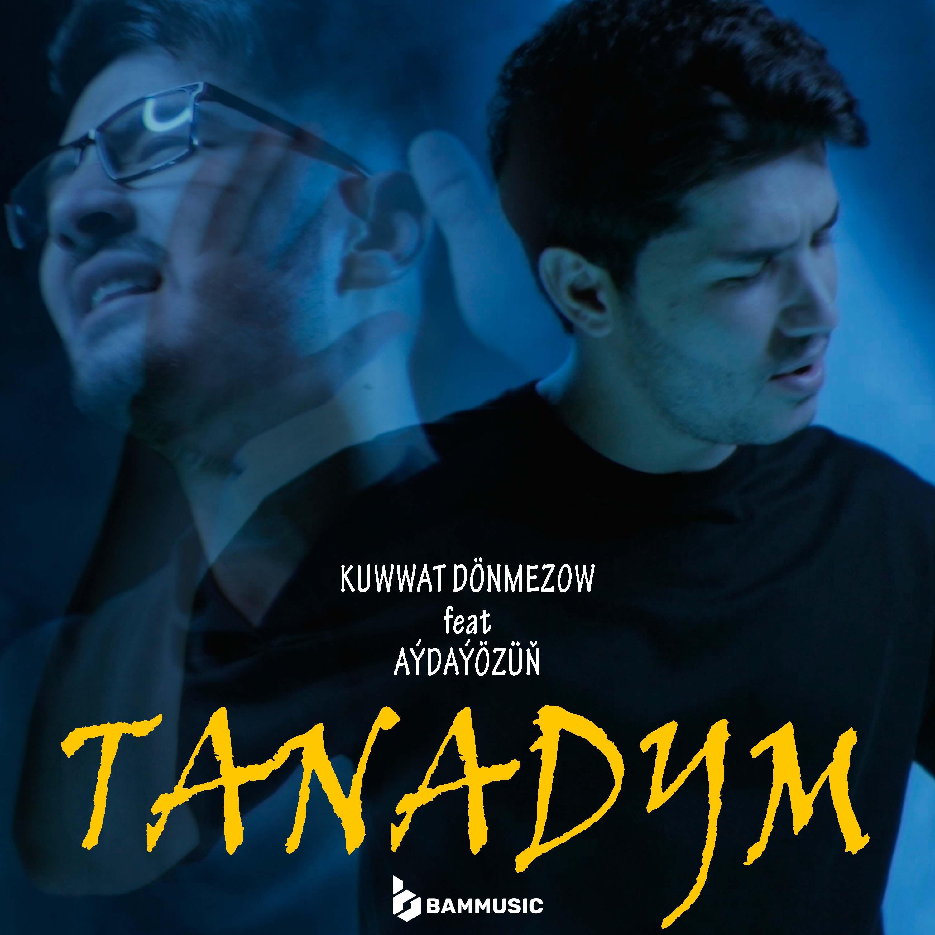 Постер альбома Tanadym