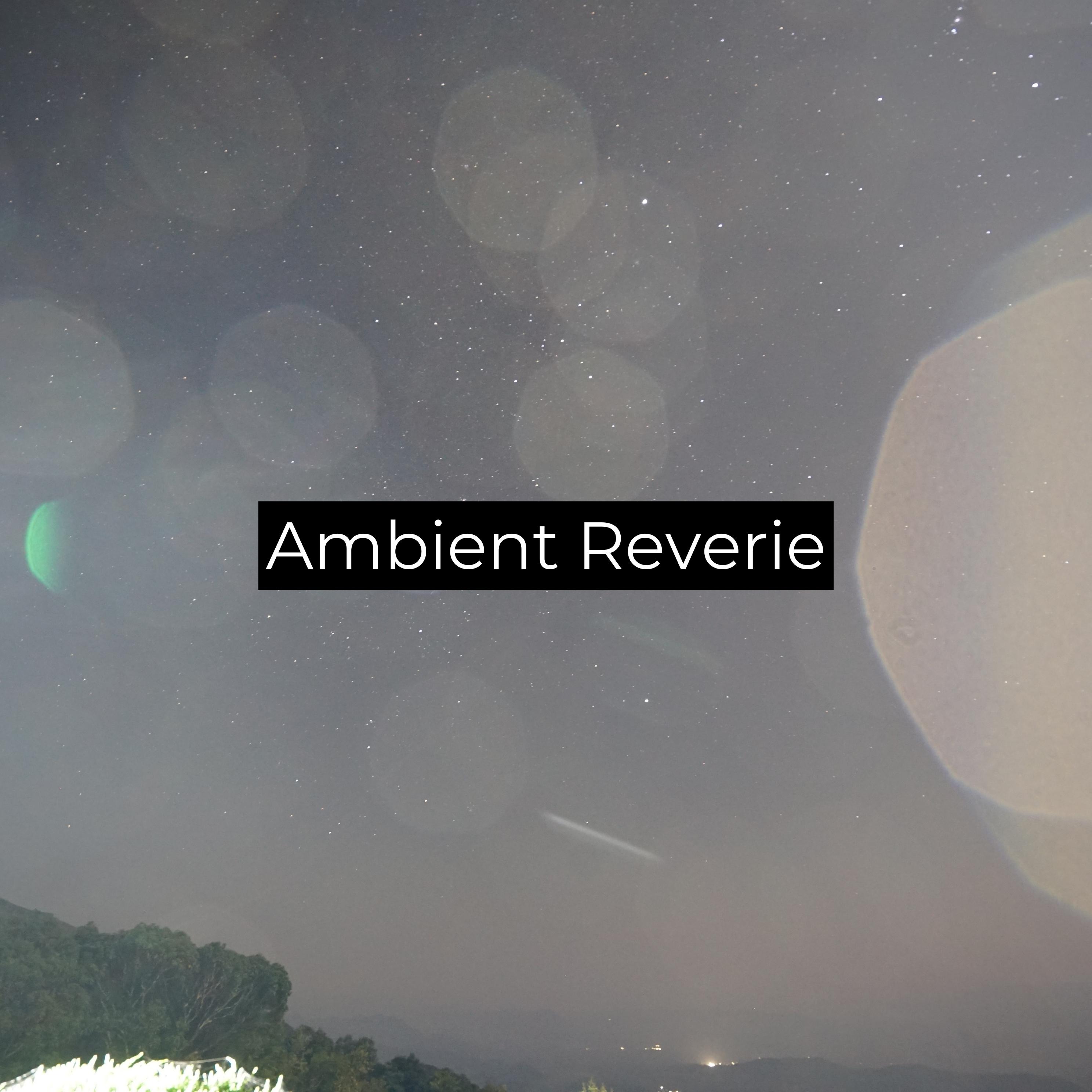 Постер альбома Ambient Reverie