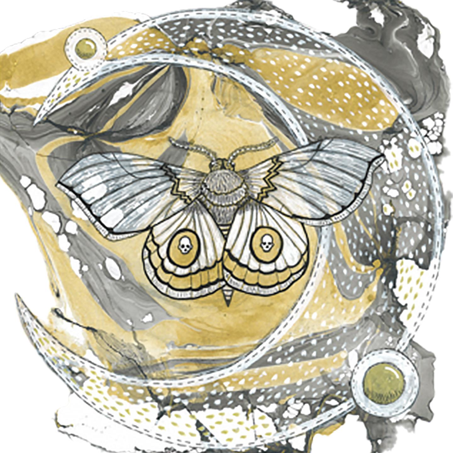 Постер альбома Papillon de nuit
