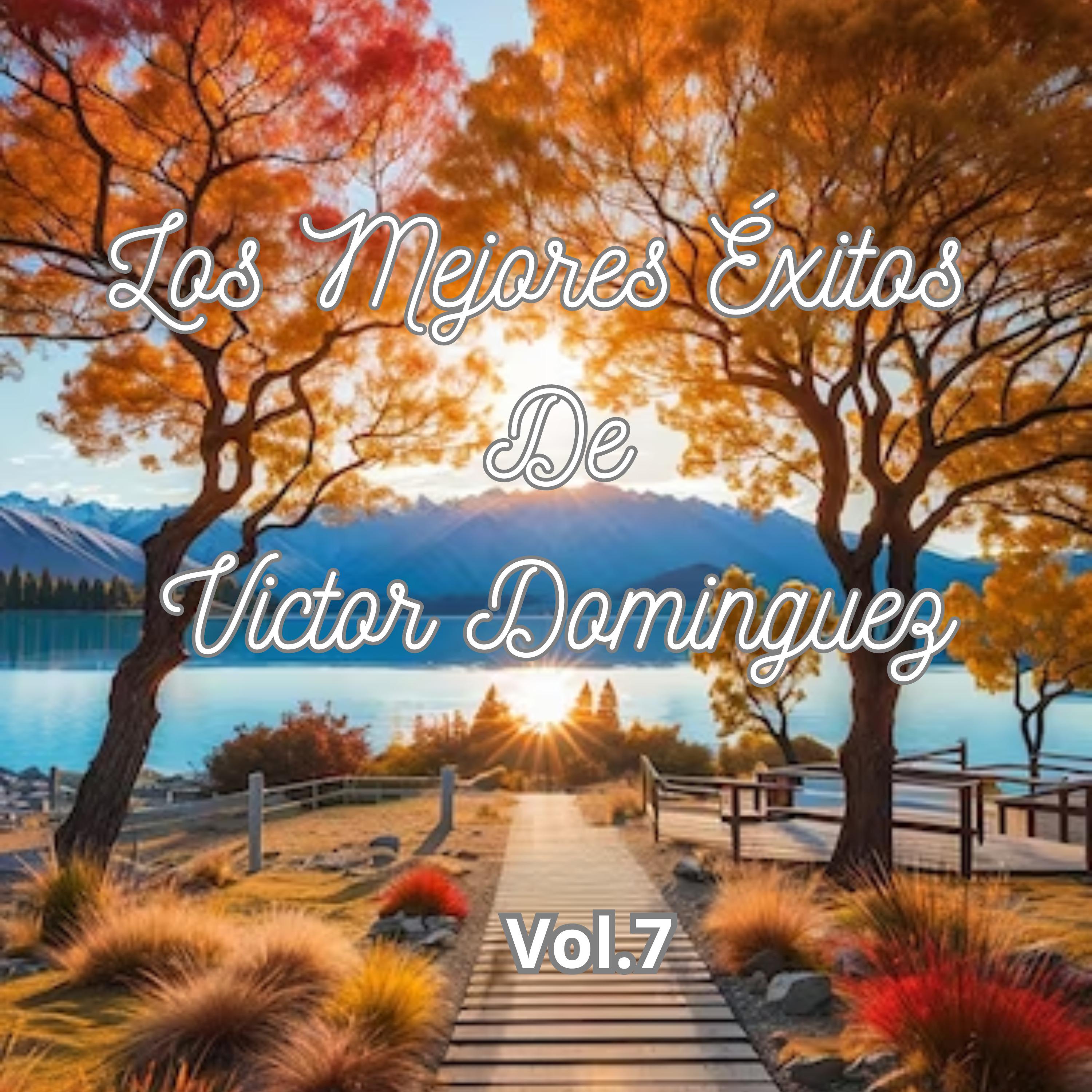 Постер альбома Los Mejores Éxitos de Víctor Domínguez, Vol. 7