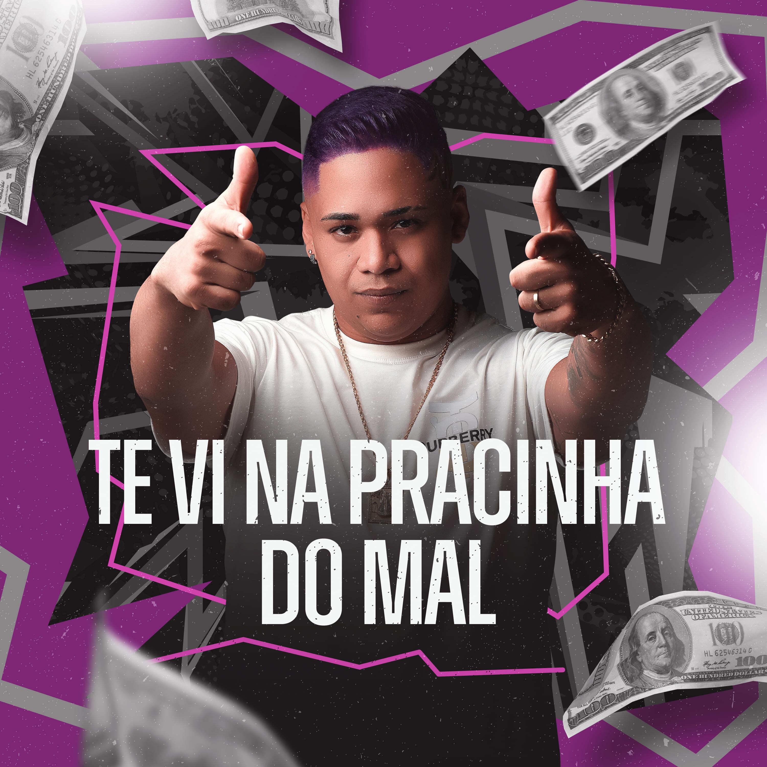 Постер альбома Te Vi na Pracinha do Mal