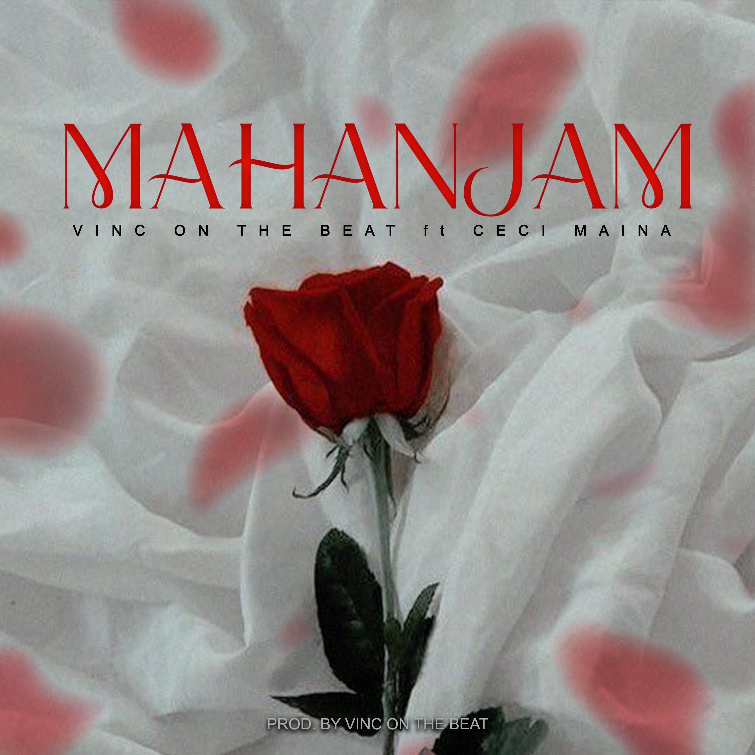 Постер альбома Mahanjam