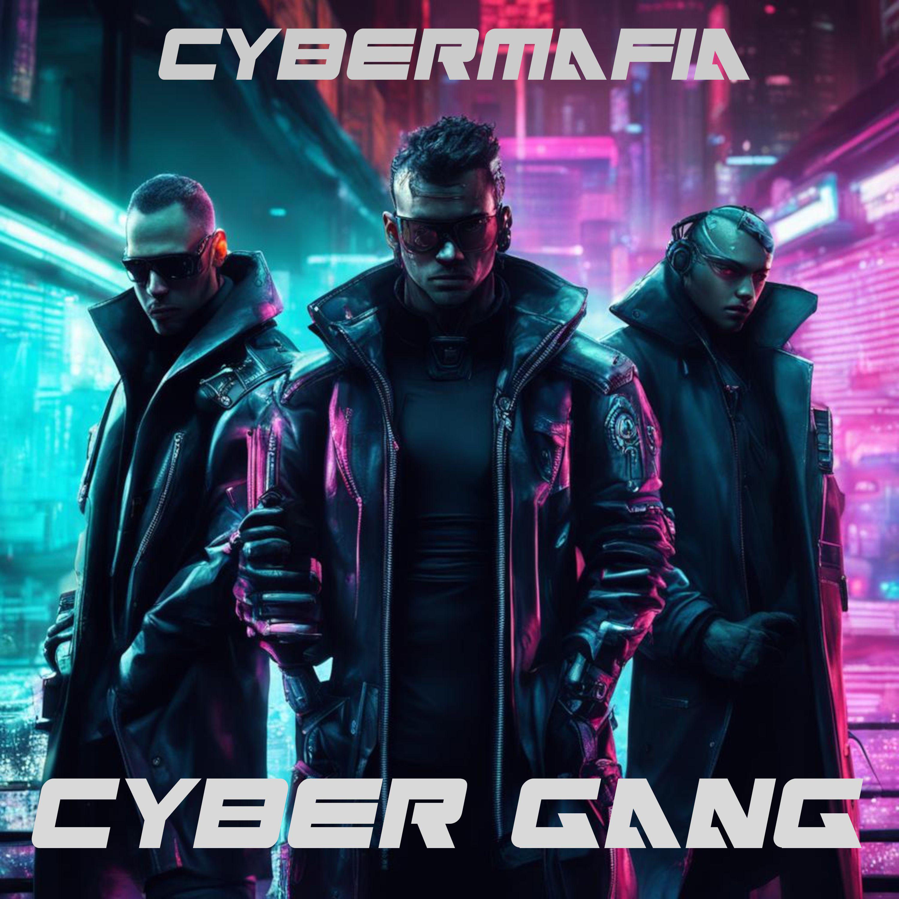 Постер альбома Cyber Gang