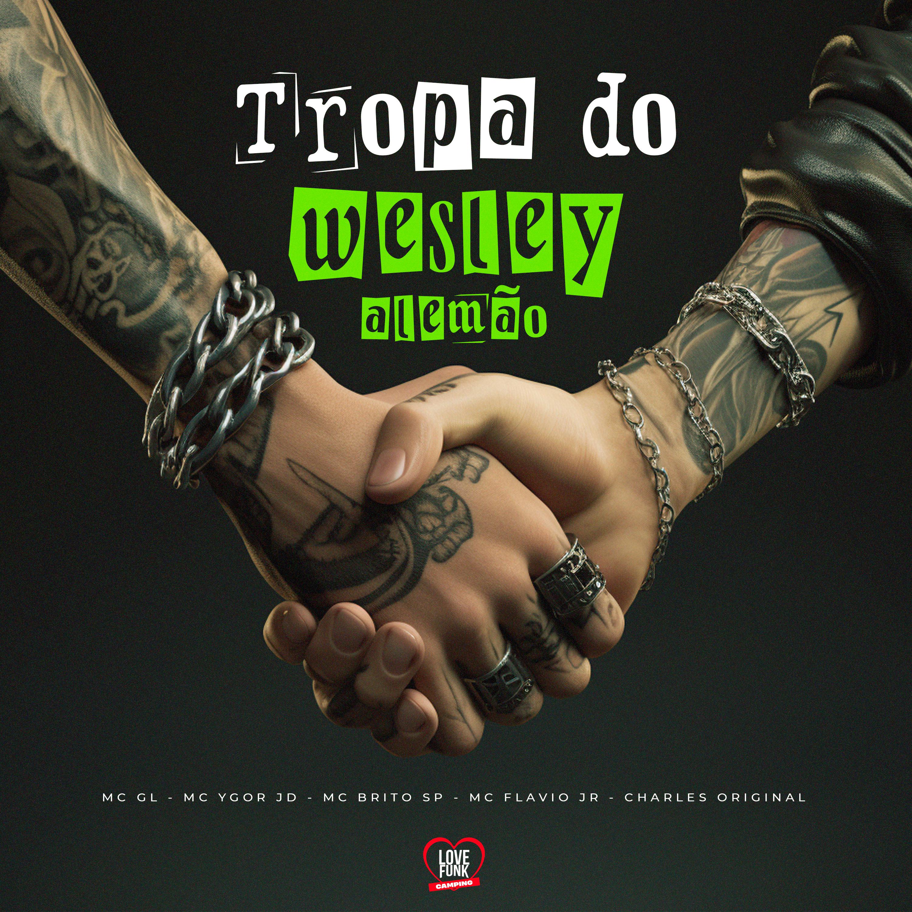 Постер альбома Tropa do Wesley Alemão