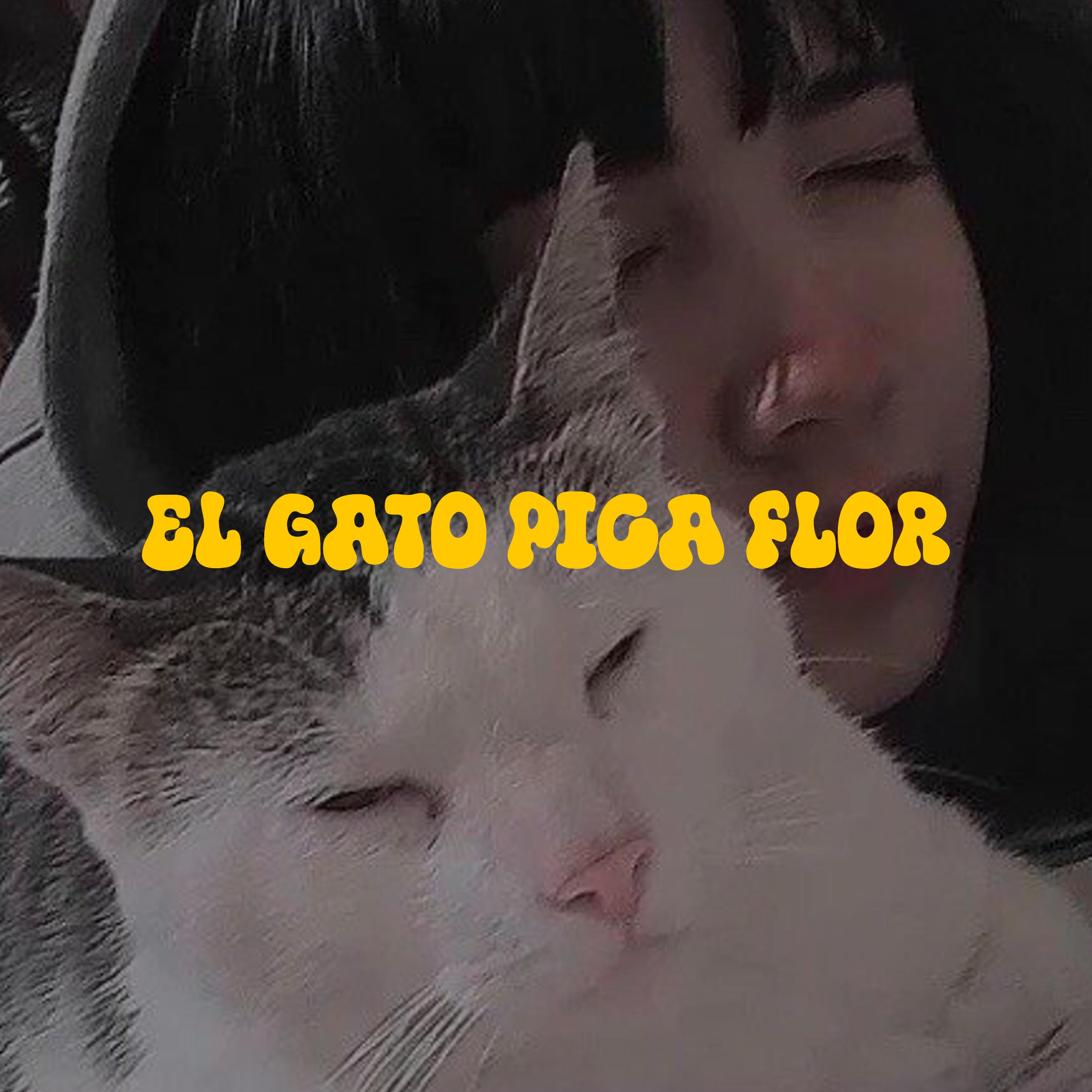Постер альбома El Gato Pica Flor